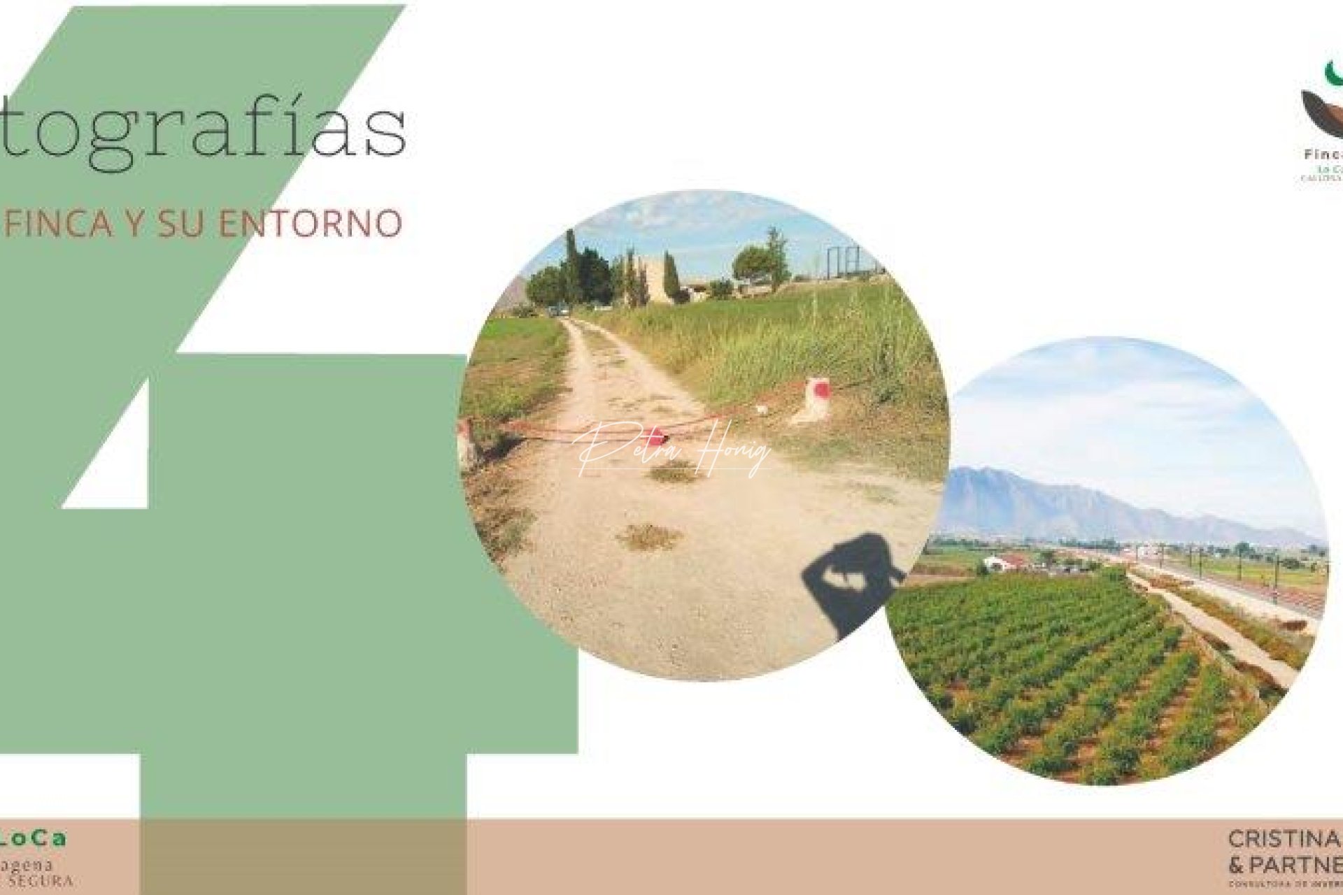 Gebrauchtobjekte - Finca - Callosa De Segura