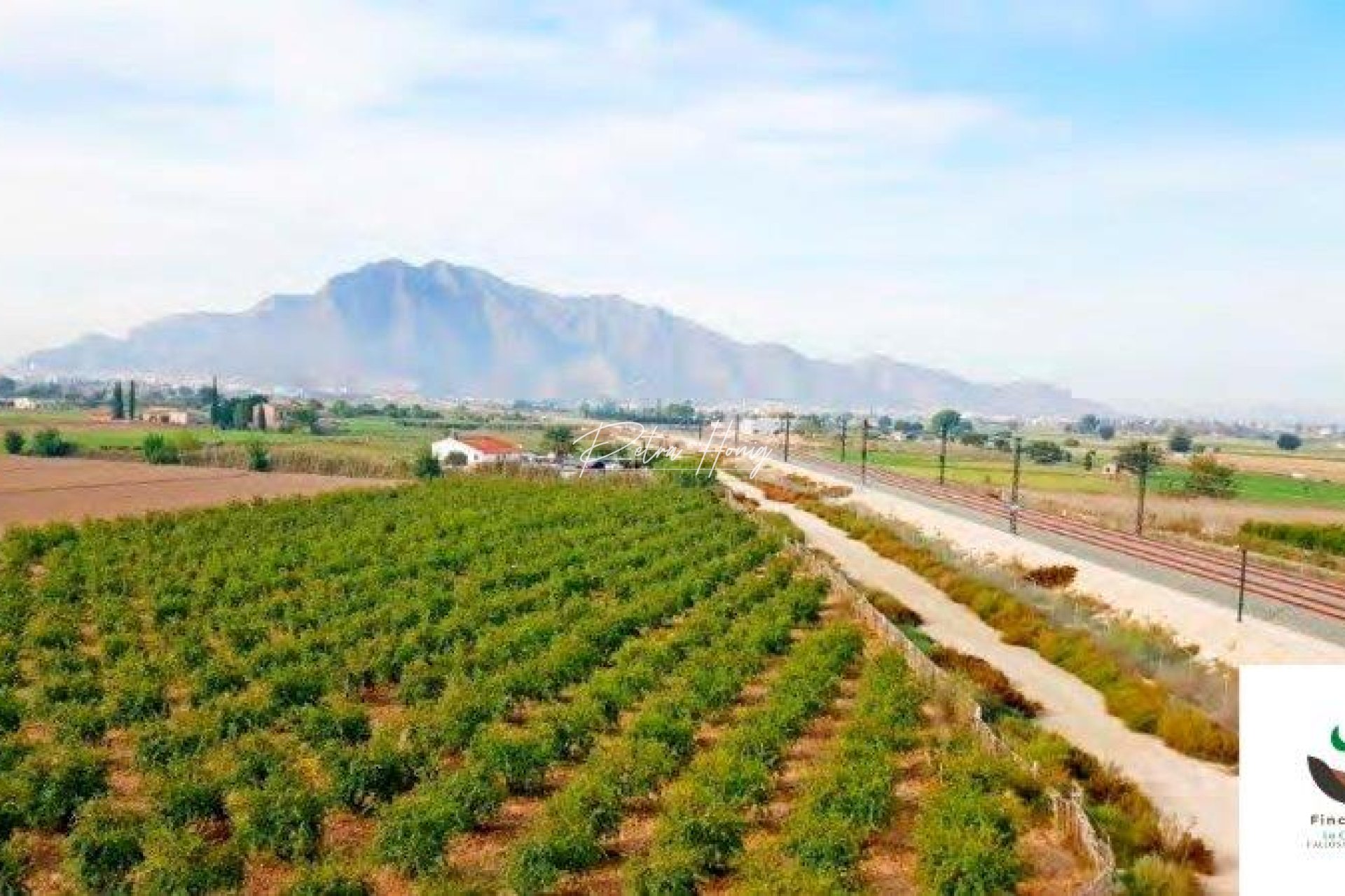Gebrauchtobjekte - Finca - Callosa De Segura