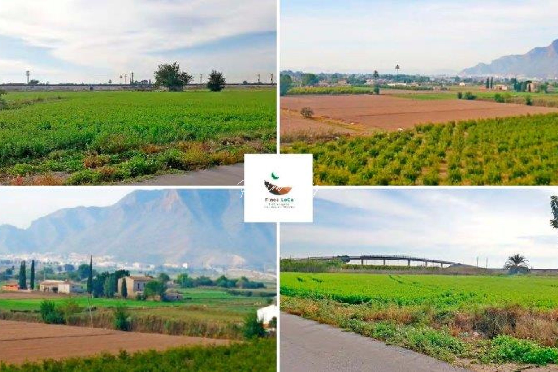 Gebrauchtobjekte - Finca - Callosa De Segura