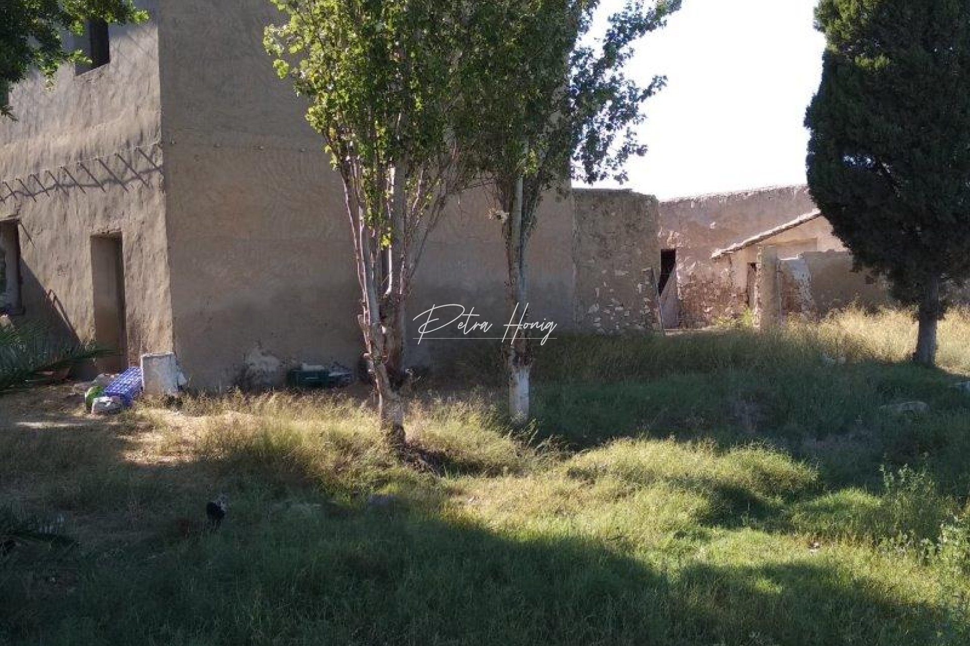 Gebrauchtobjekte - Finca - Callosa De Segura
