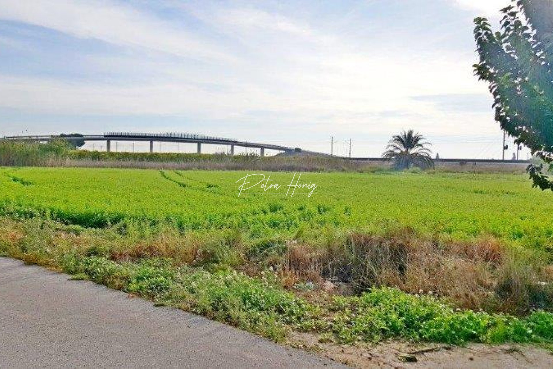 Gebrauchtobjekte - Finca - Callosa De Segura