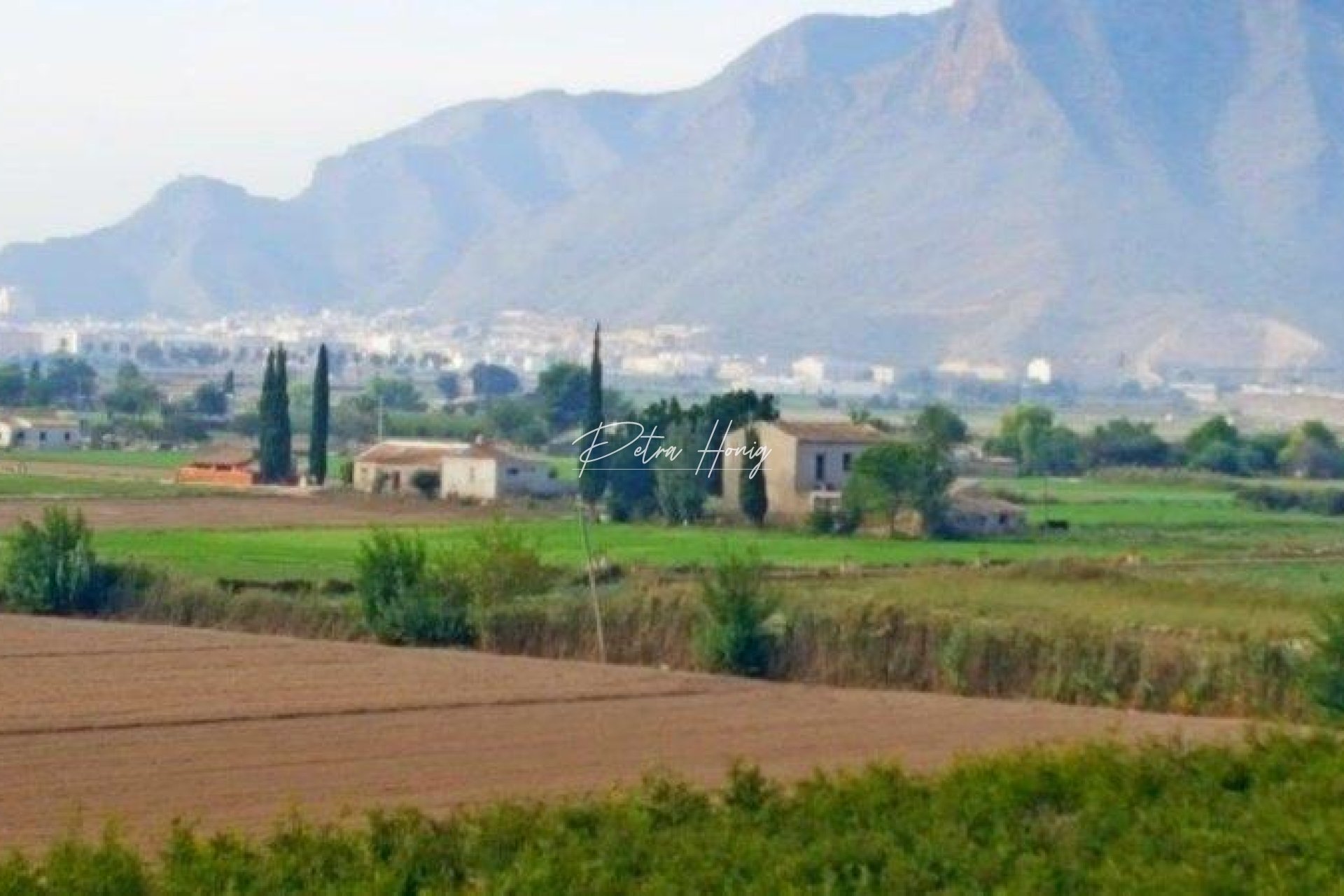 Gebrauchtobjekte - Finca - Callosa De Segura