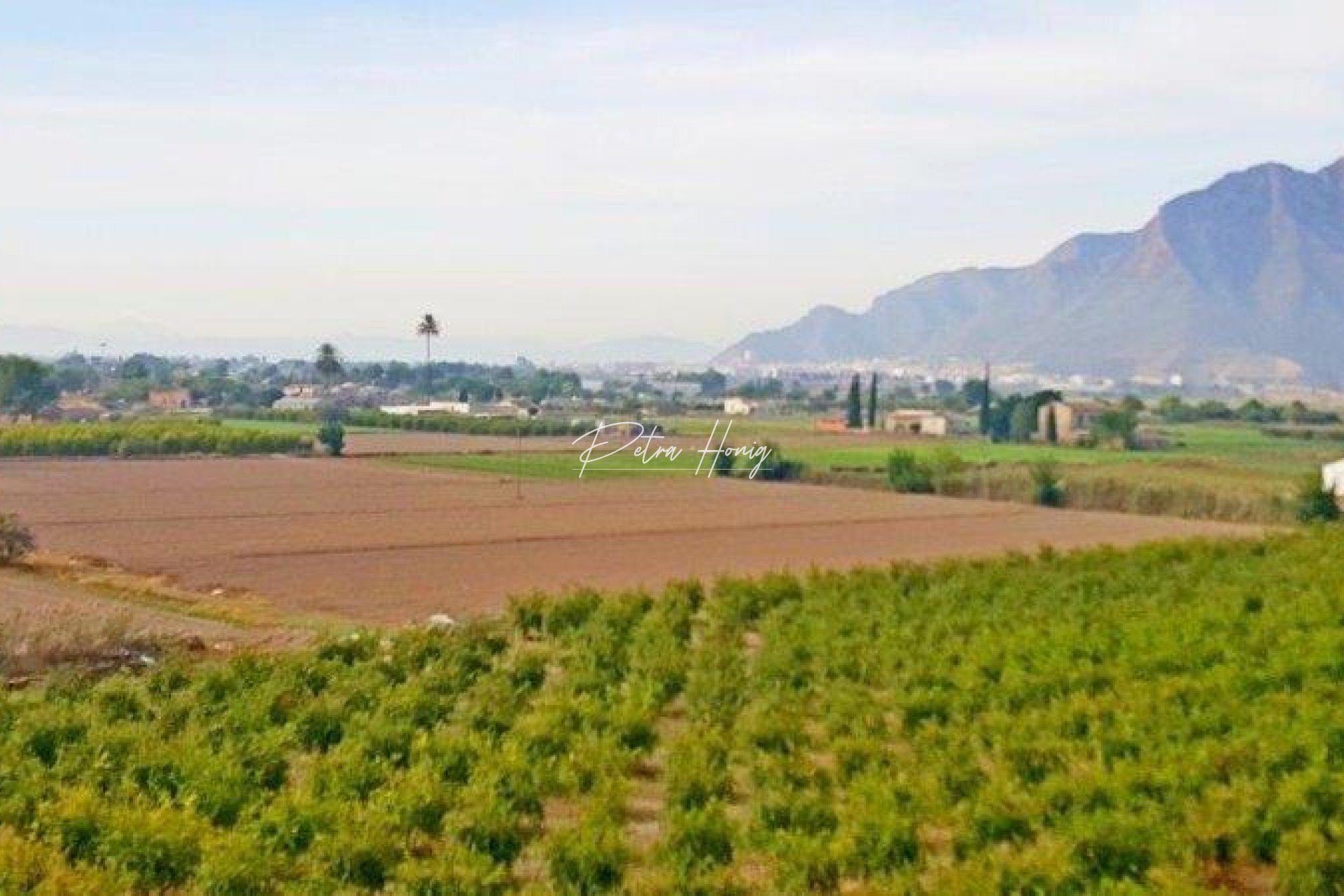 Gebrauchtobjekte - Finca - Callosa De Segura