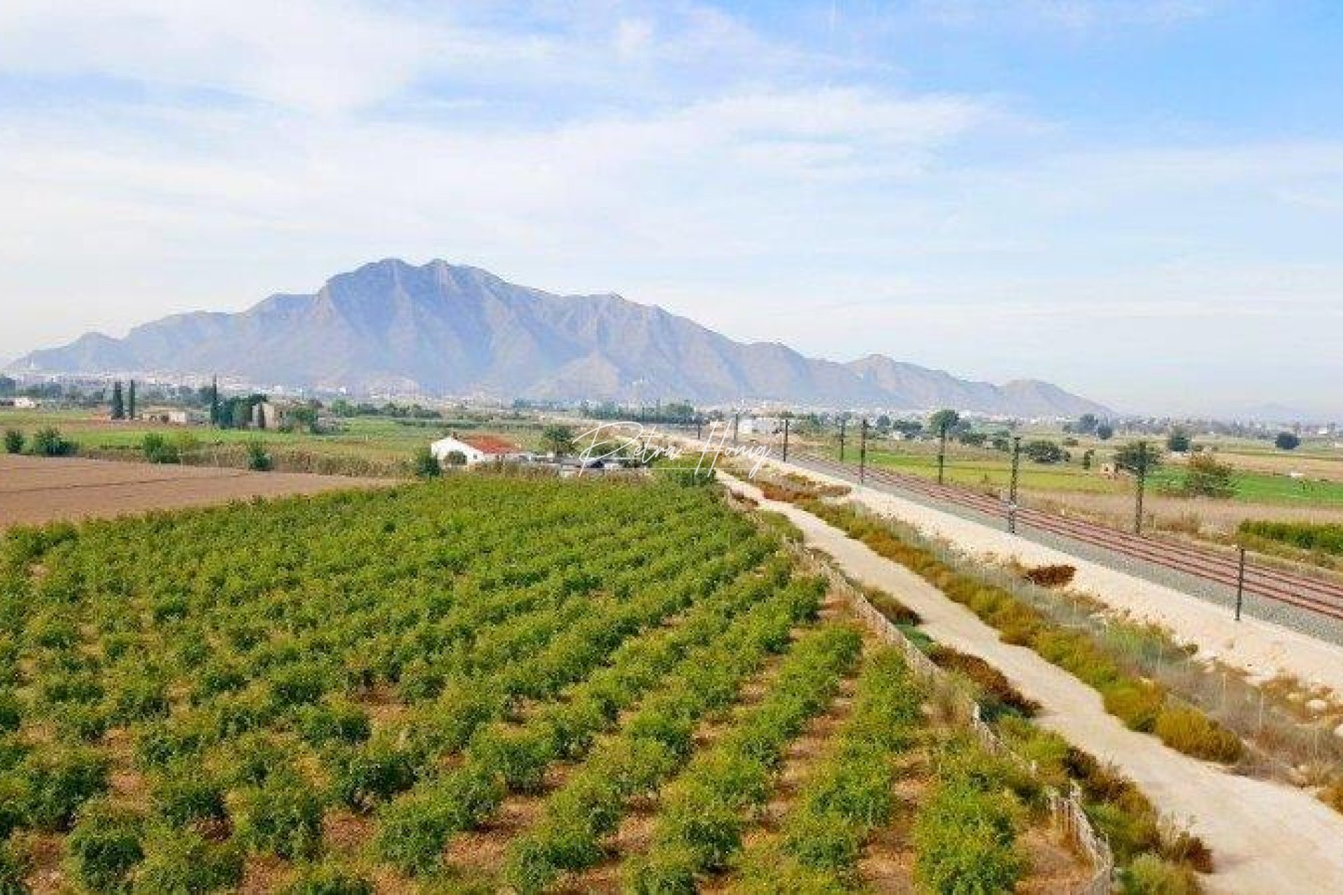 Gebrauchtobjekte - Finca - Callosa De Segura