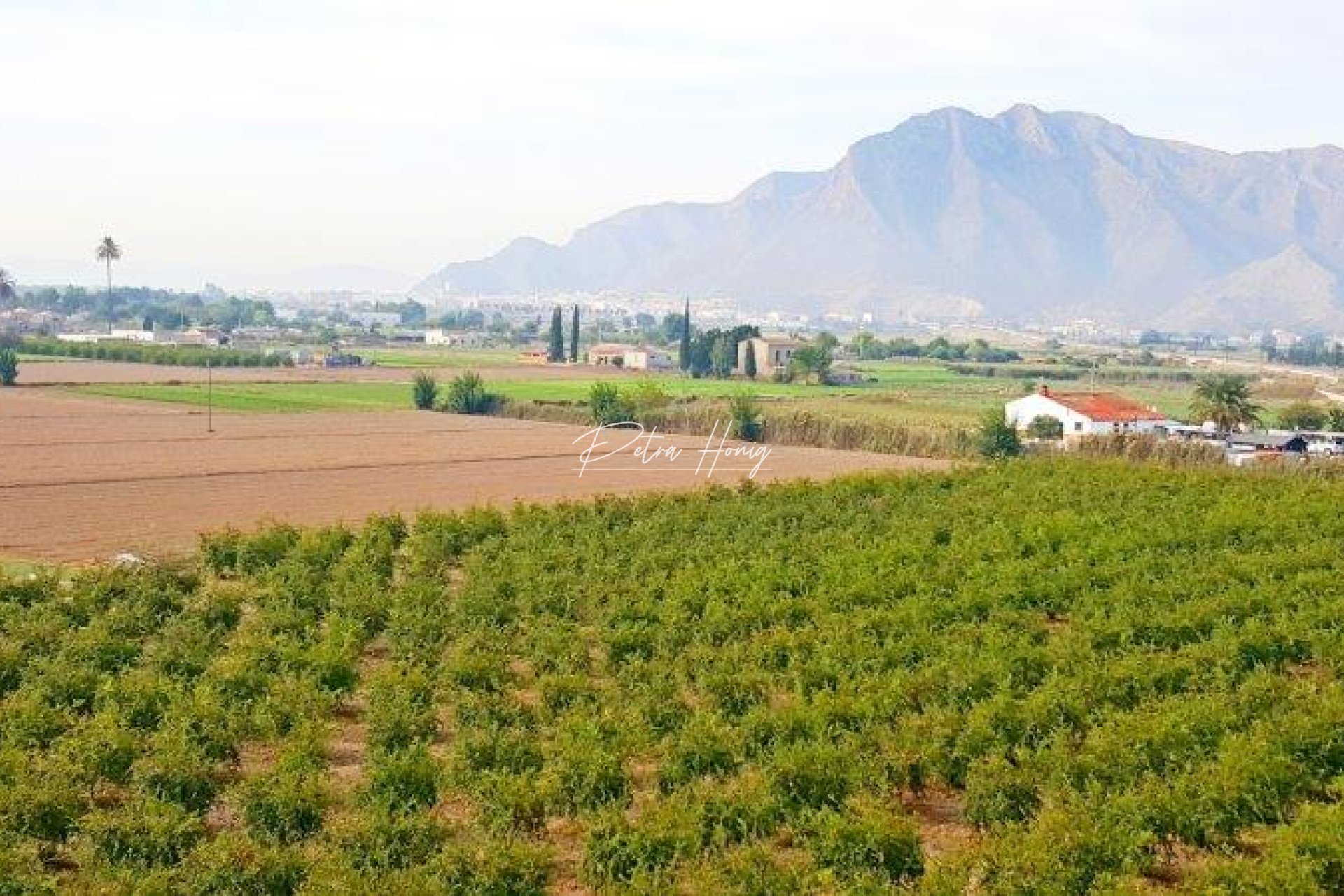 Gebrauchtobjekte - Finca - Callosa De Segura
