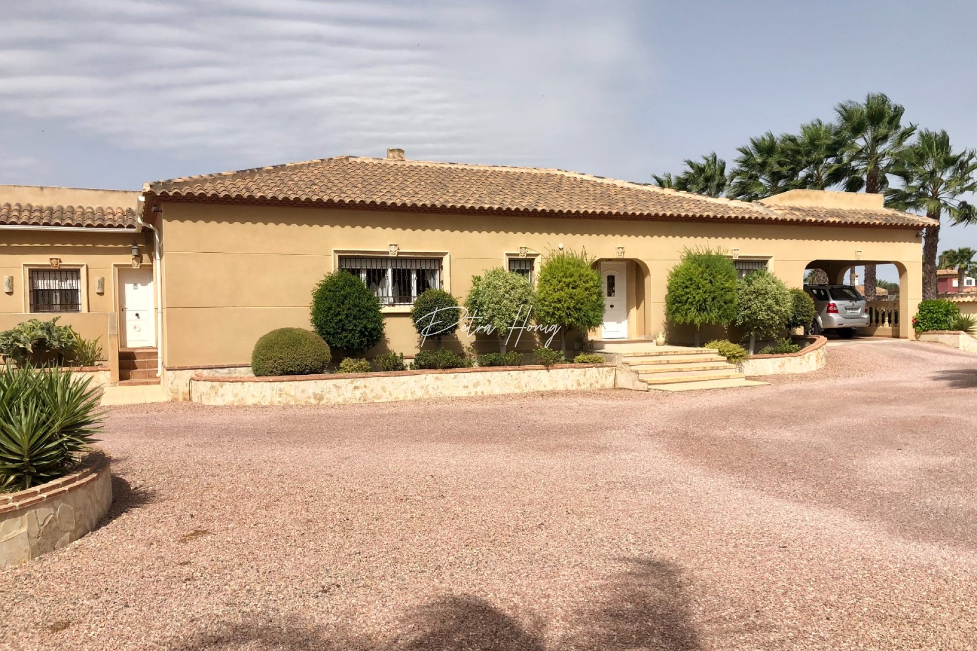 Gebrauchtobjekte - Finca - Catral