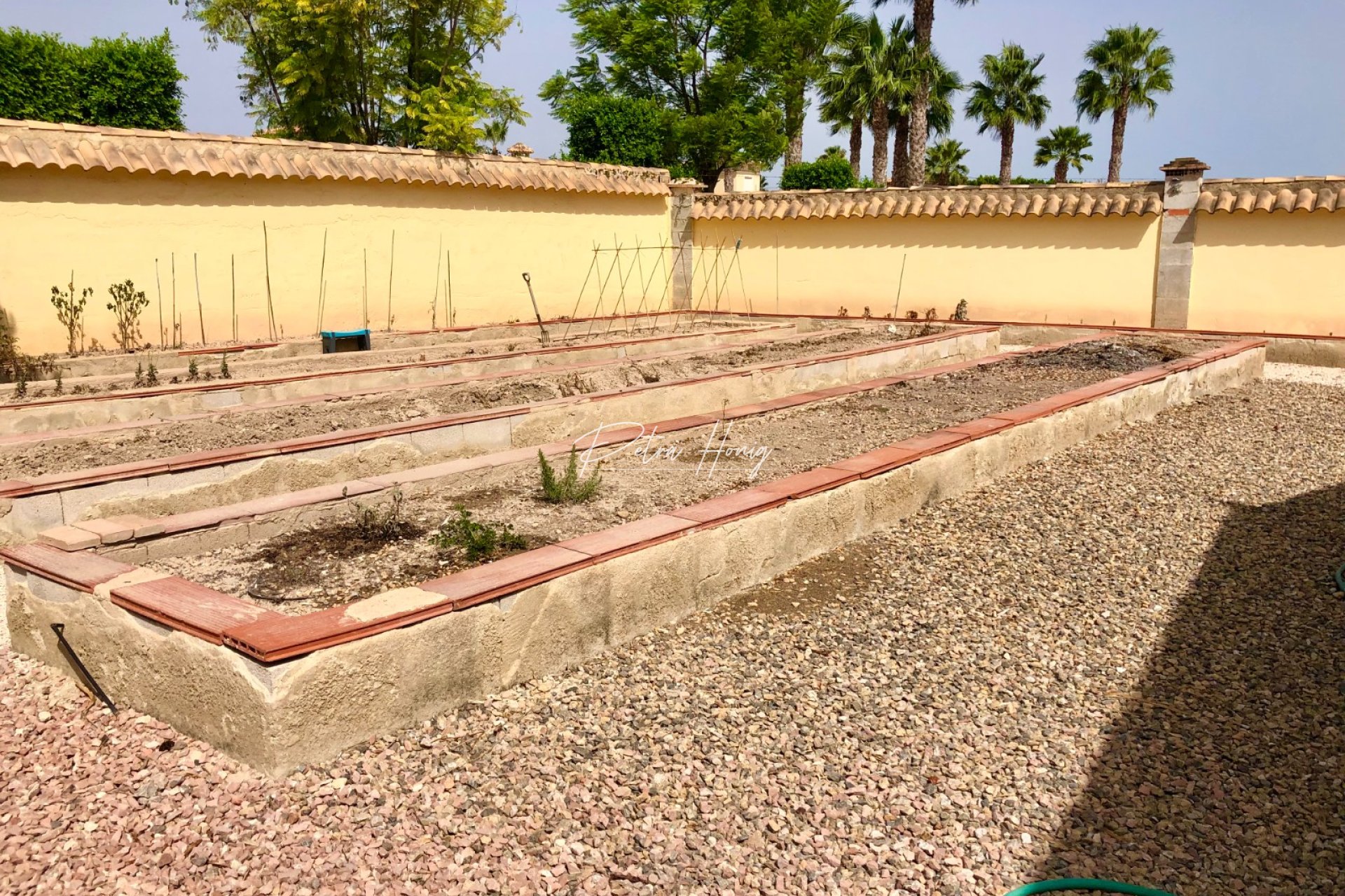 Gebrauchtobjekte - Finca - Catral