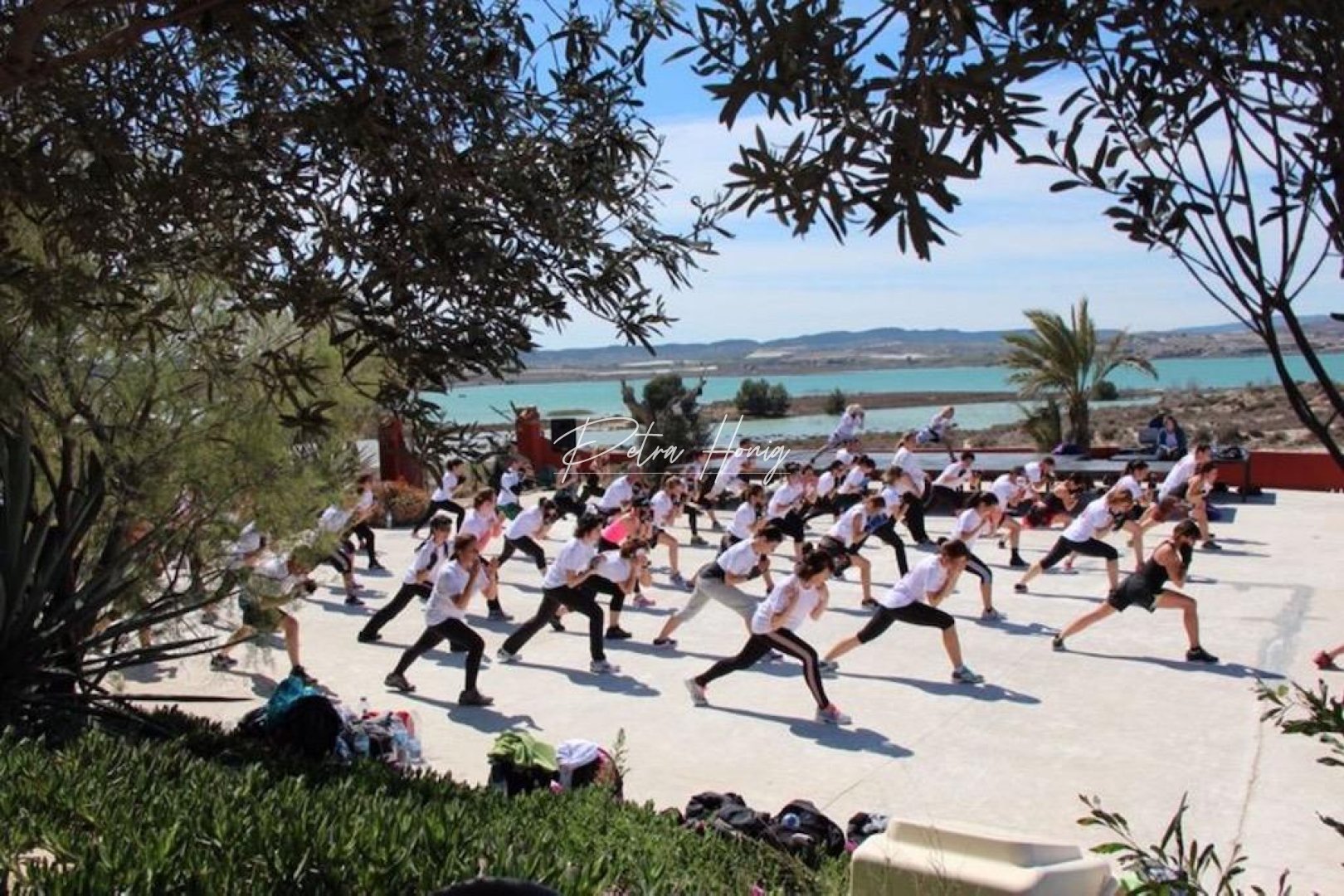 Gebrauchtobjekte - Finca - Orihuela Costa - Torremendo