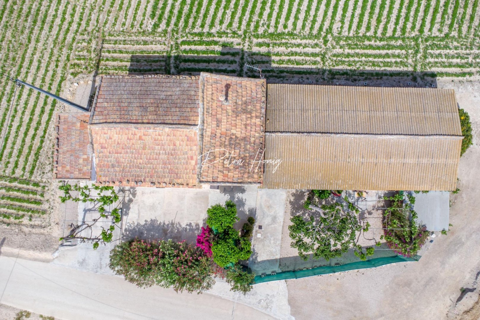 Gebrauchtobjekte - Finca - Other areas - Desamparados-Hurchillo-Torremendo