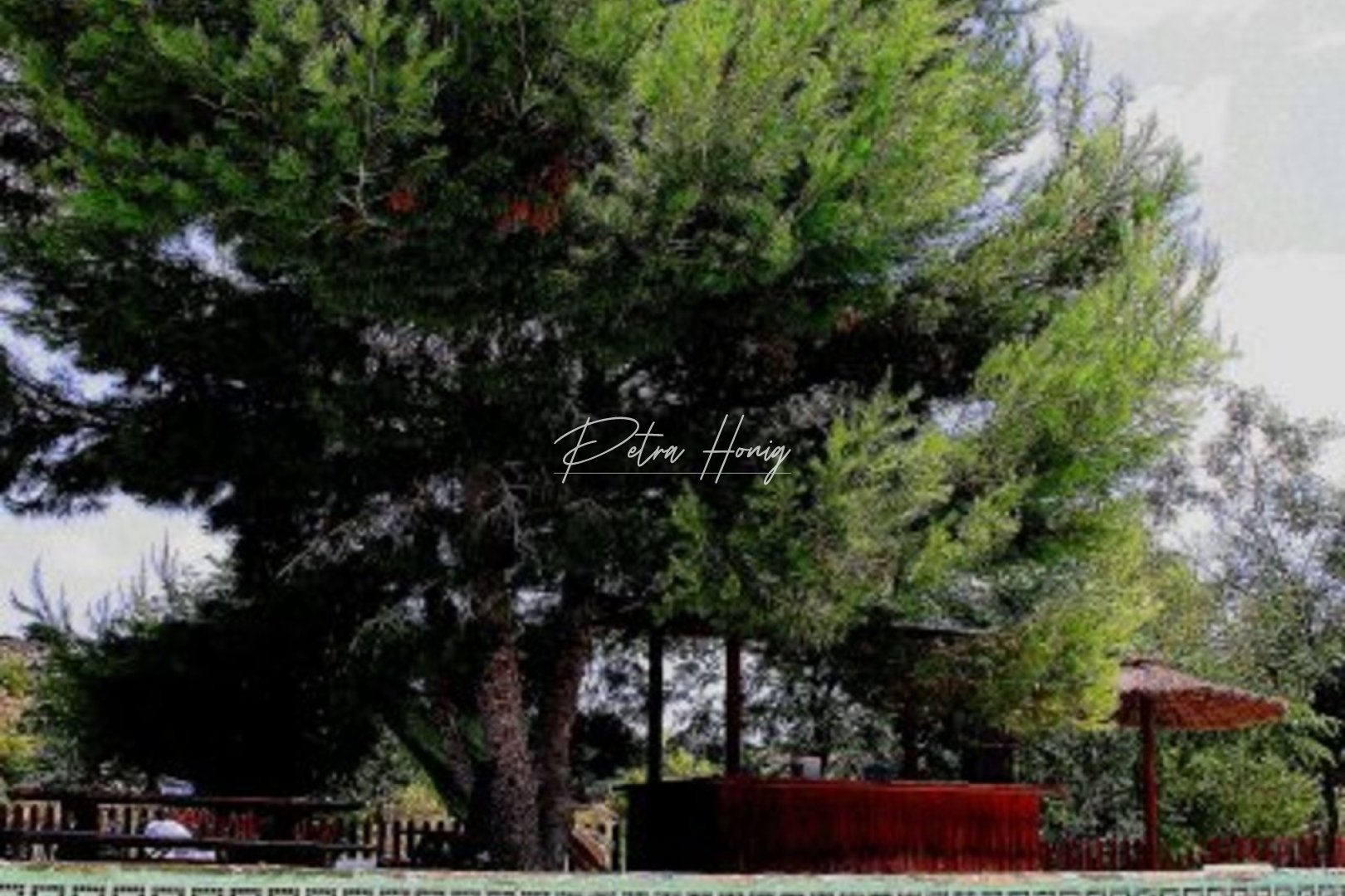 Gebrauchtobjekte - Finca - Other areas - Gea Y Truyols