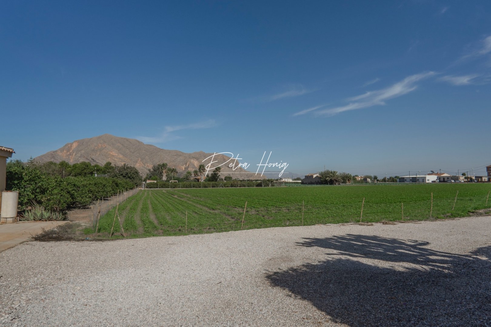 Gebrauchtobjekte - Finca - Other areas - San Bartolome