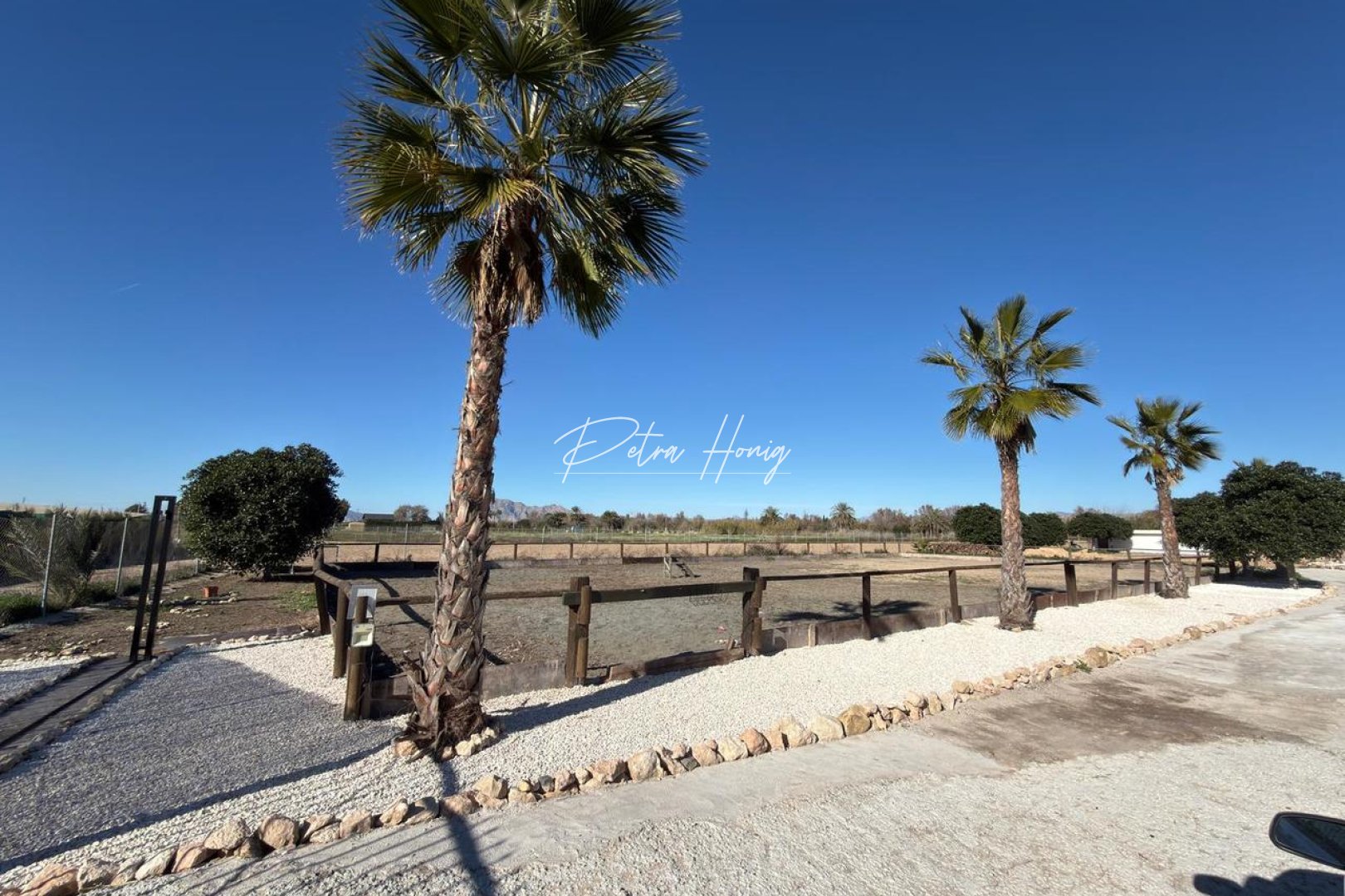 Gebrauchtobjekte - Grundstück - Algorfa - La Finca Golf - Algorfa