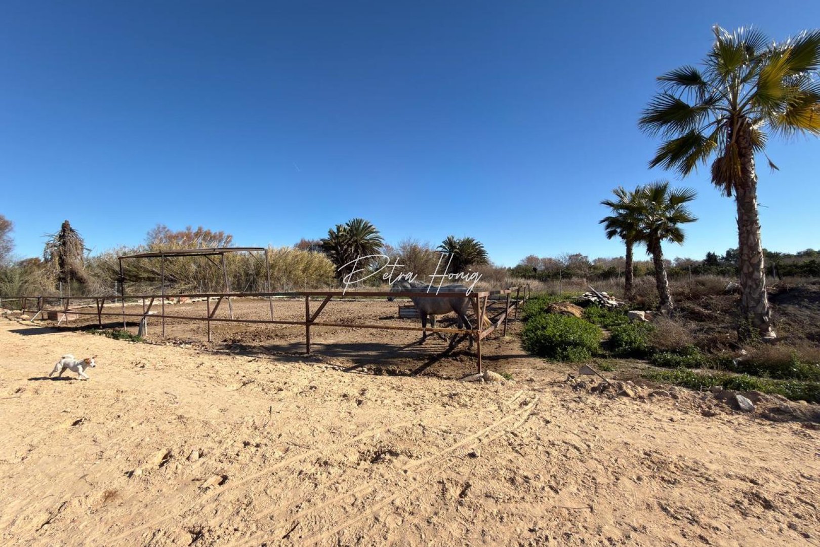 Gebrauchtobjekte - Grundstück - Algorfa - La Finca Golf - Algorfa