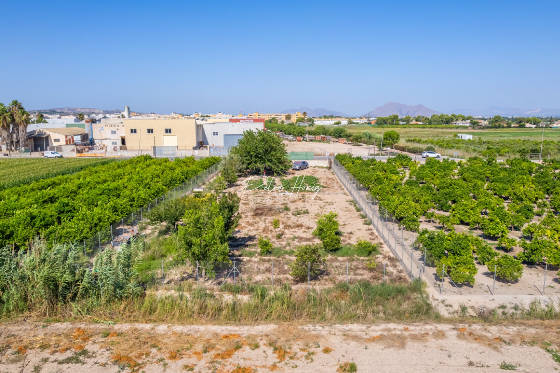 Gebrauchtobjekte - Grundstück - Formentera del Segura - Forementera del Segura