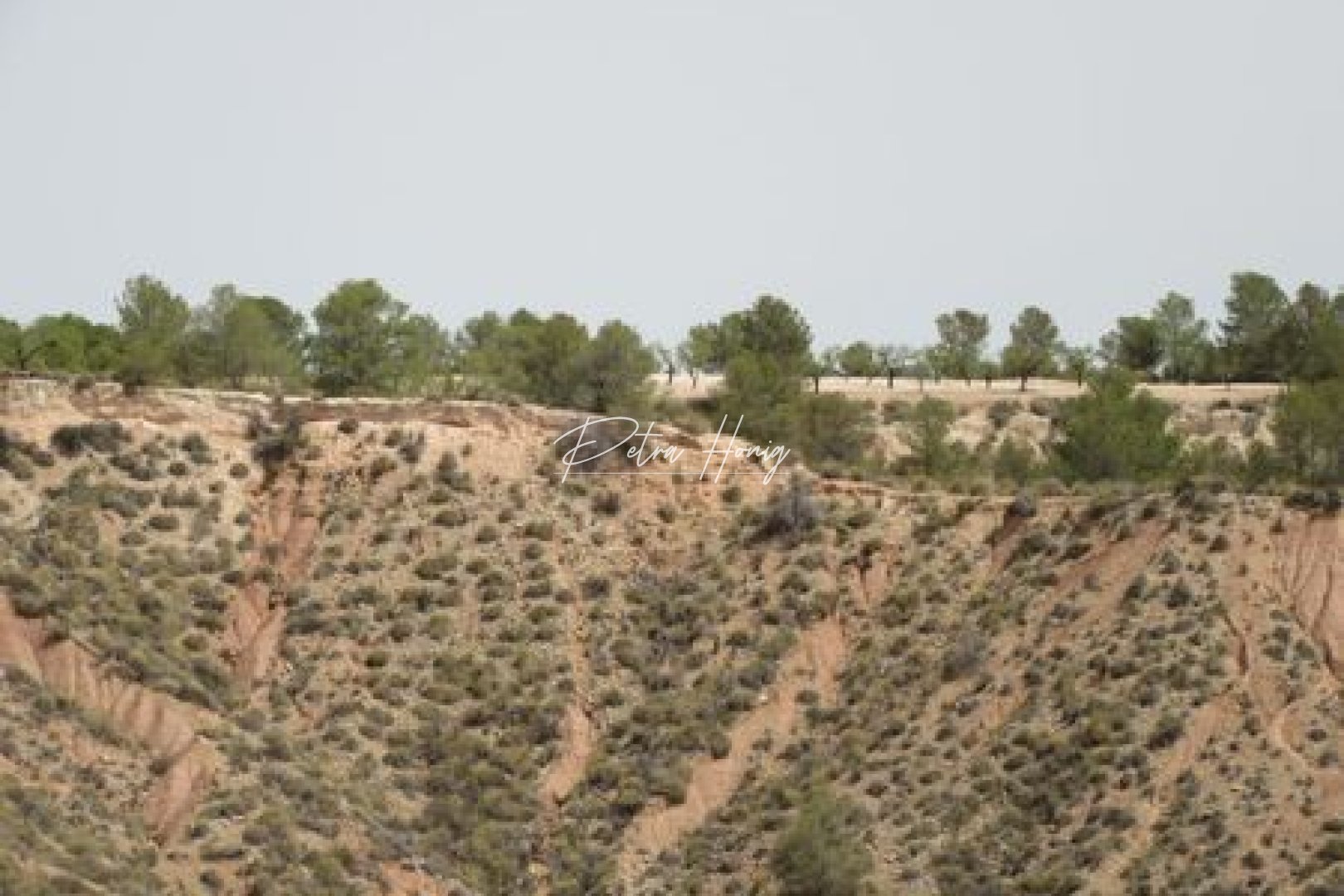 Gebrauchtobjekte - Grundstück - Other areas - Murcia