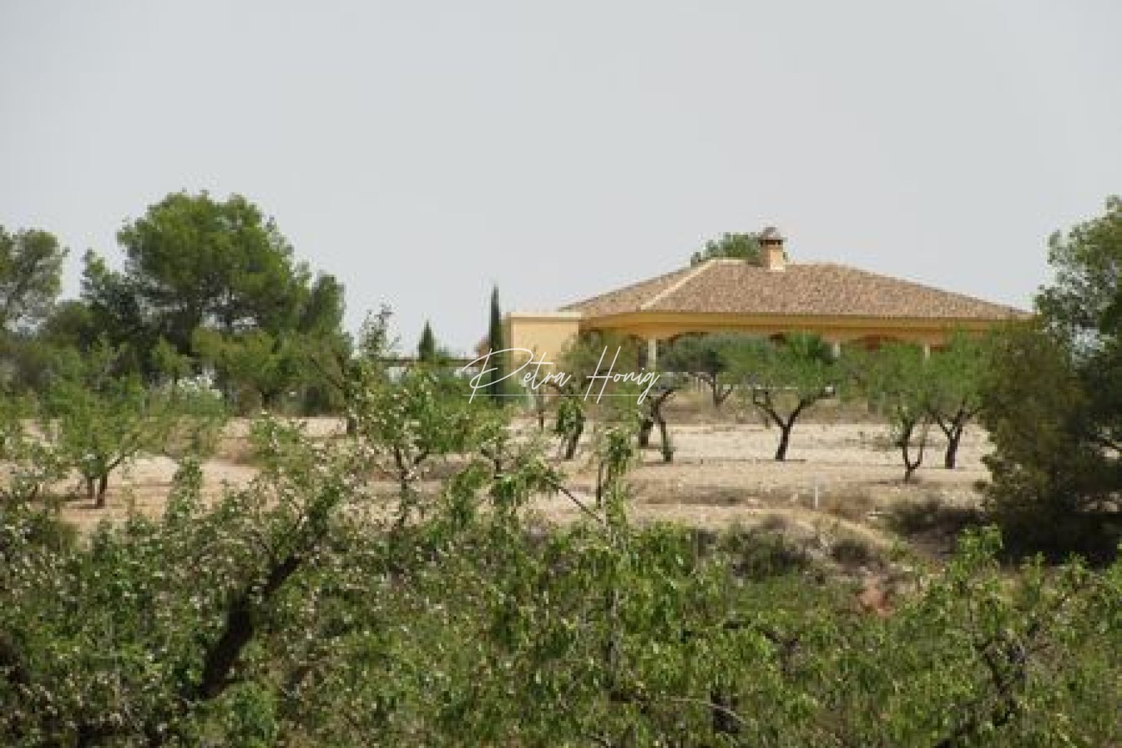Gebrauchtobjekte - Grundstück - Other areas - Murcia