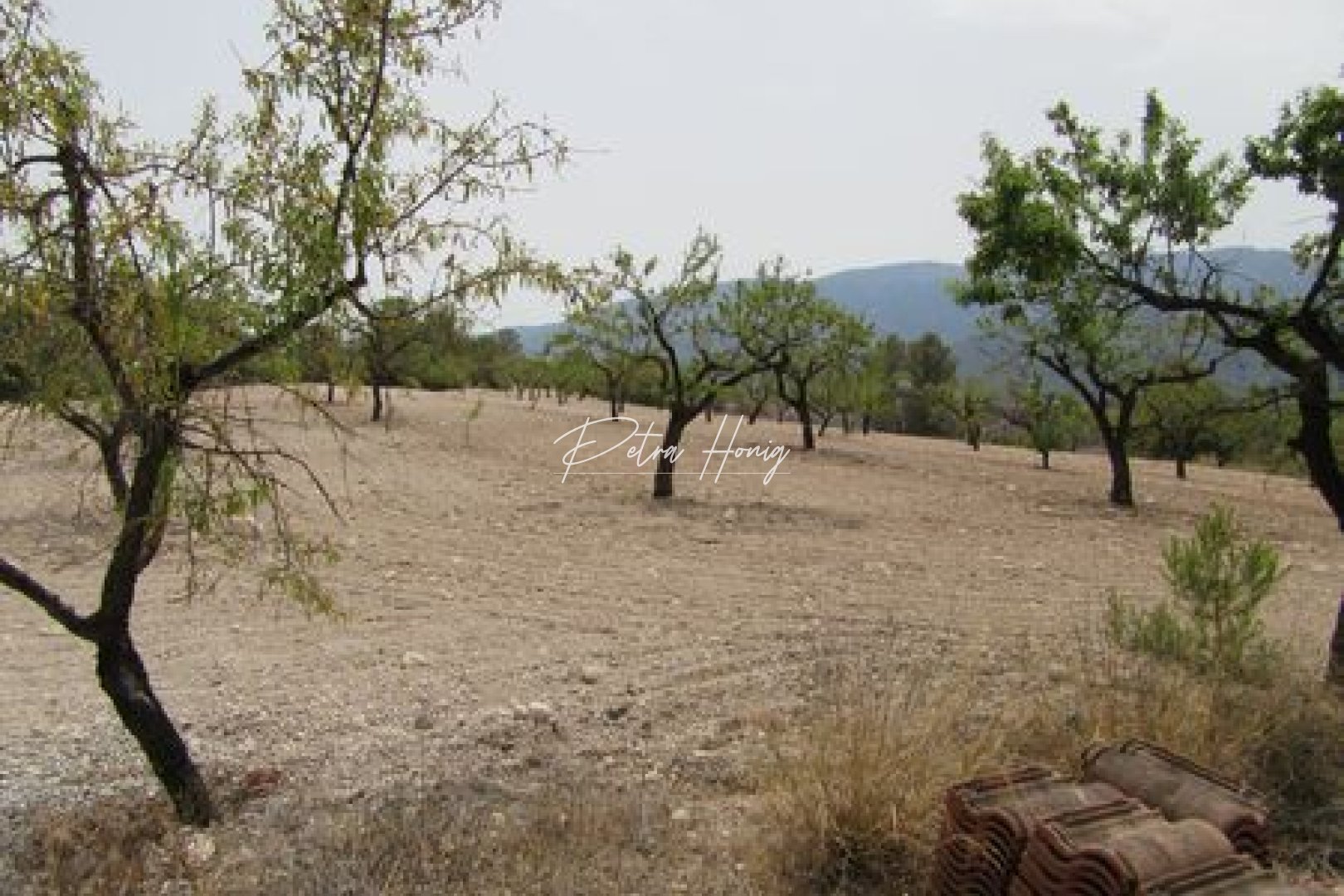Gebrauchtobjekte - Grundstück - Other areas - Murcia