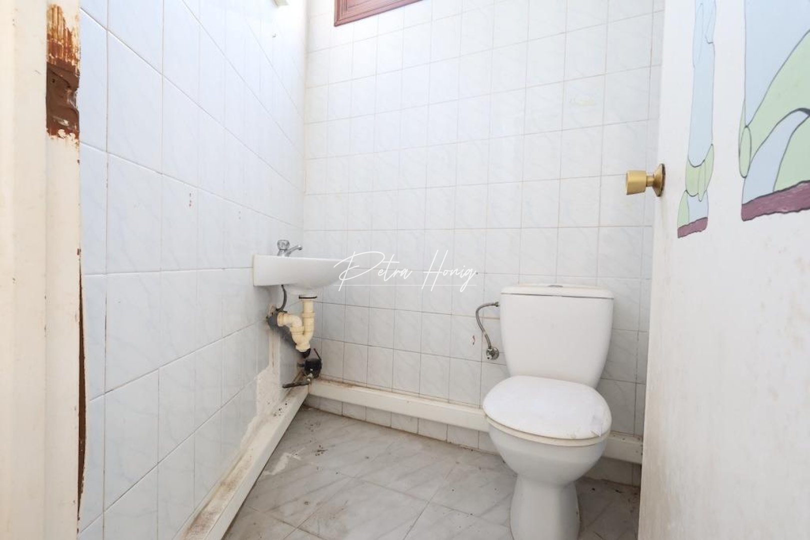 Gebrauchtobjekte - Kommerzielle Immobilie - La Zenia