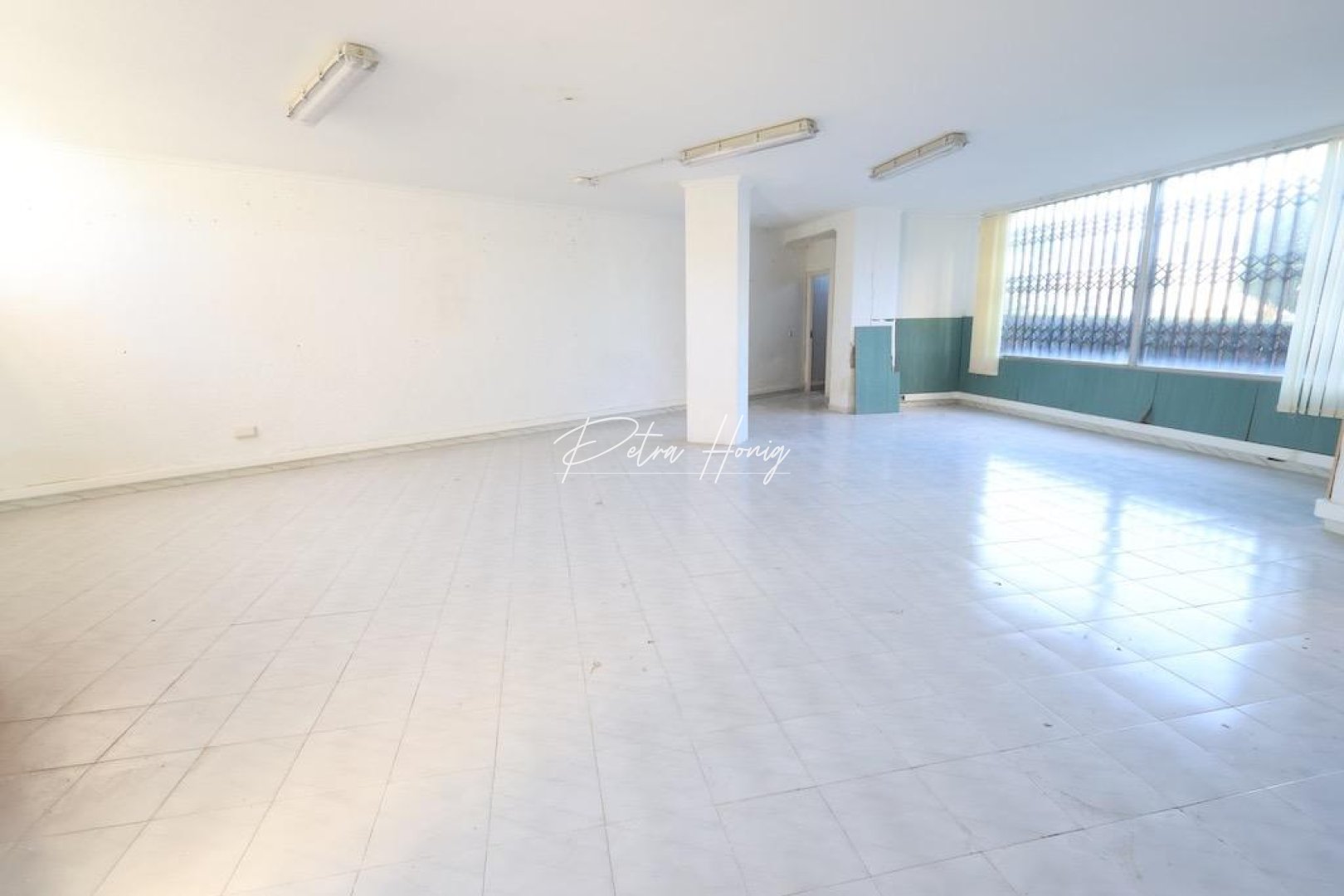 Gebrauchtobjekte - Kommerzielle Immobilie - La Zenia