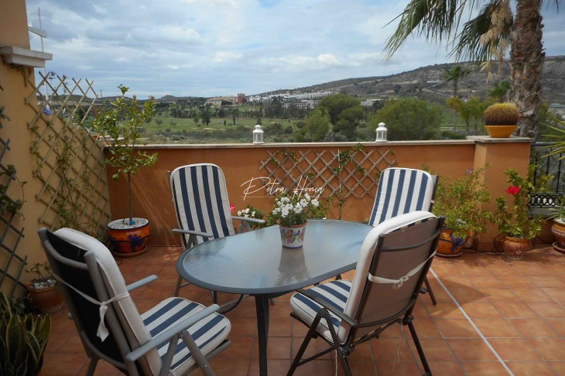 Gebrauchtobjekte -  - La Finca Golf