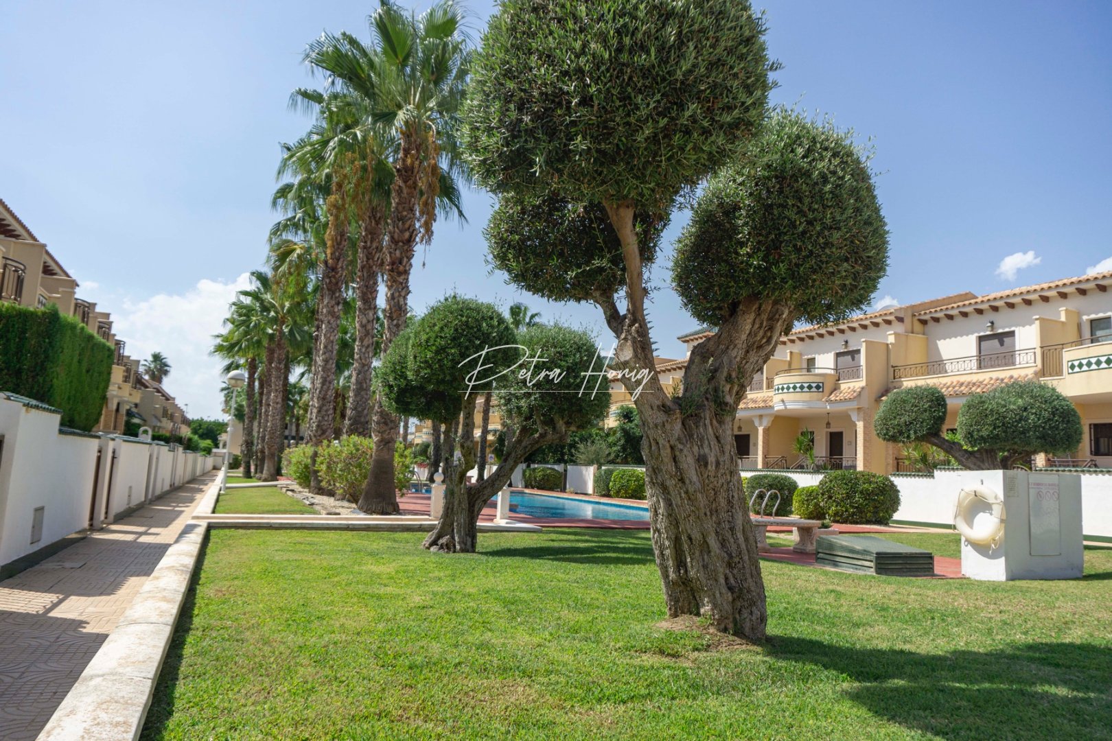 Gebrauchtobjekte - Reihenhaus - Ciudad Quesada