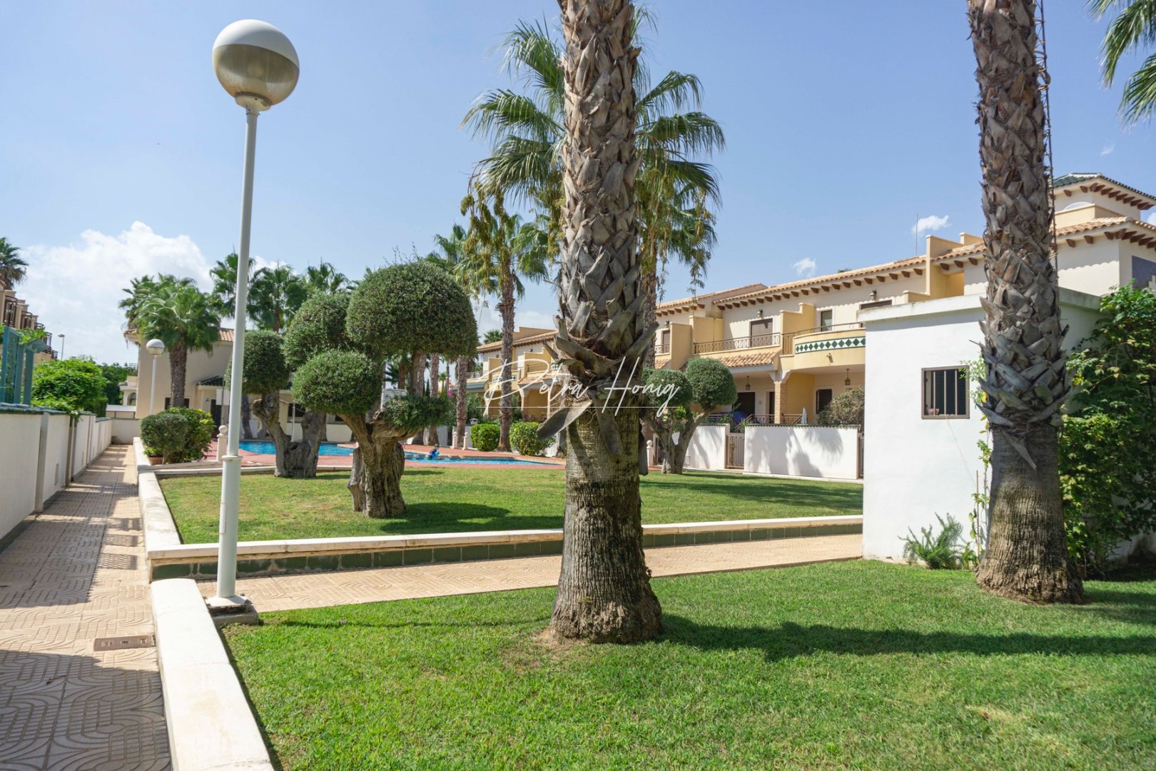 Gebrauchtobjekte - Reihenhaus - Ciudad Quesada