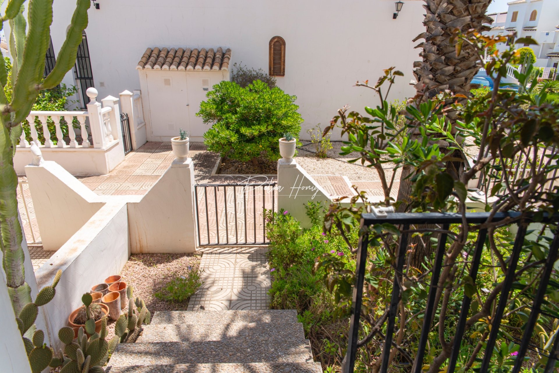 Gebrauchtobjekte - Reihenhaus - Ciudad Quesada