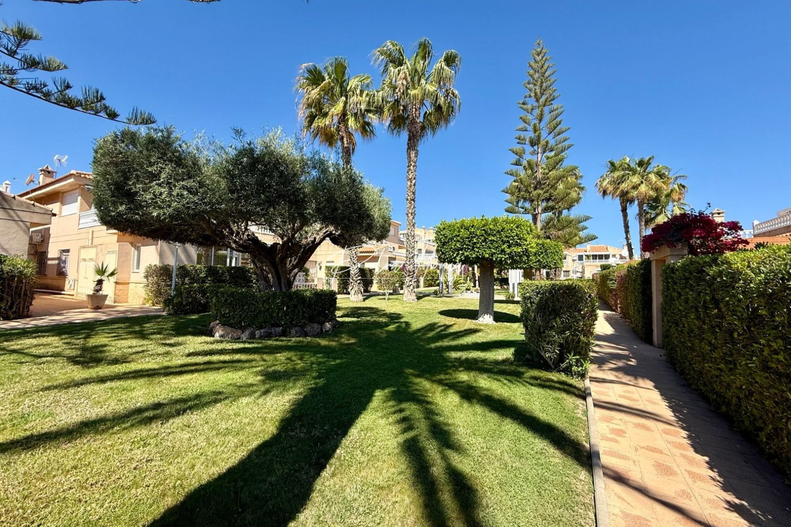 Gebrauchtobjekte - Reihenhaus - Orihuela Costa - Playa Flamenca