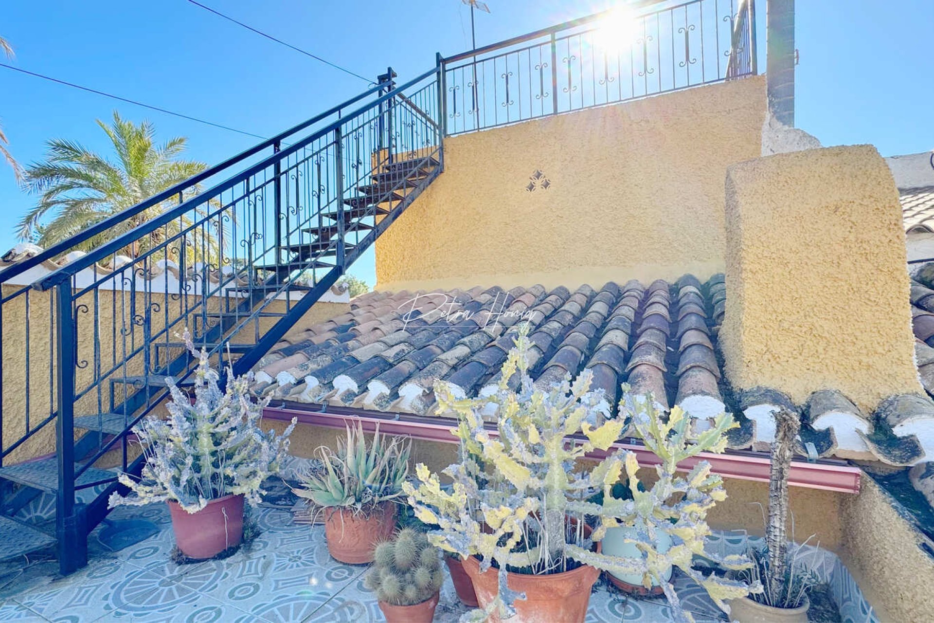 Gebrauchtobjekte - Reihenhaus - Orihuela Costa - Punta Prima