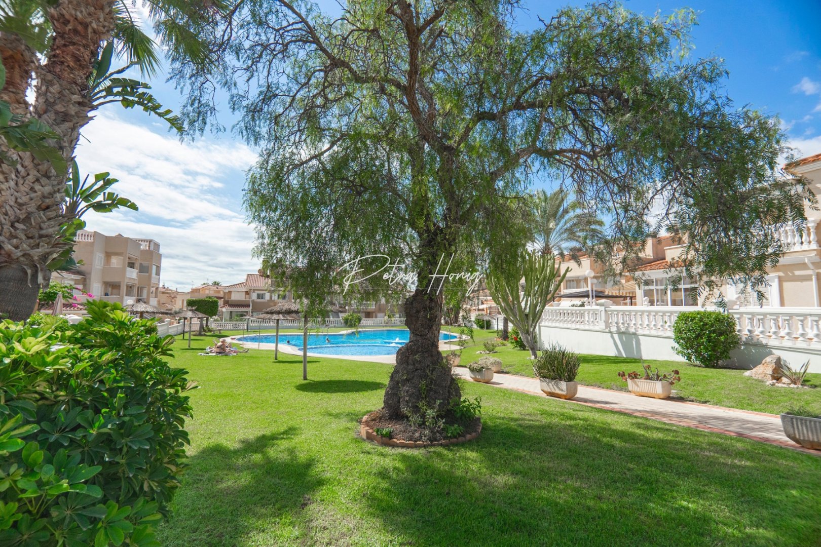 Gebrauchtobjekte - Reihenhaus - Playa Flamenca - Zeniamar