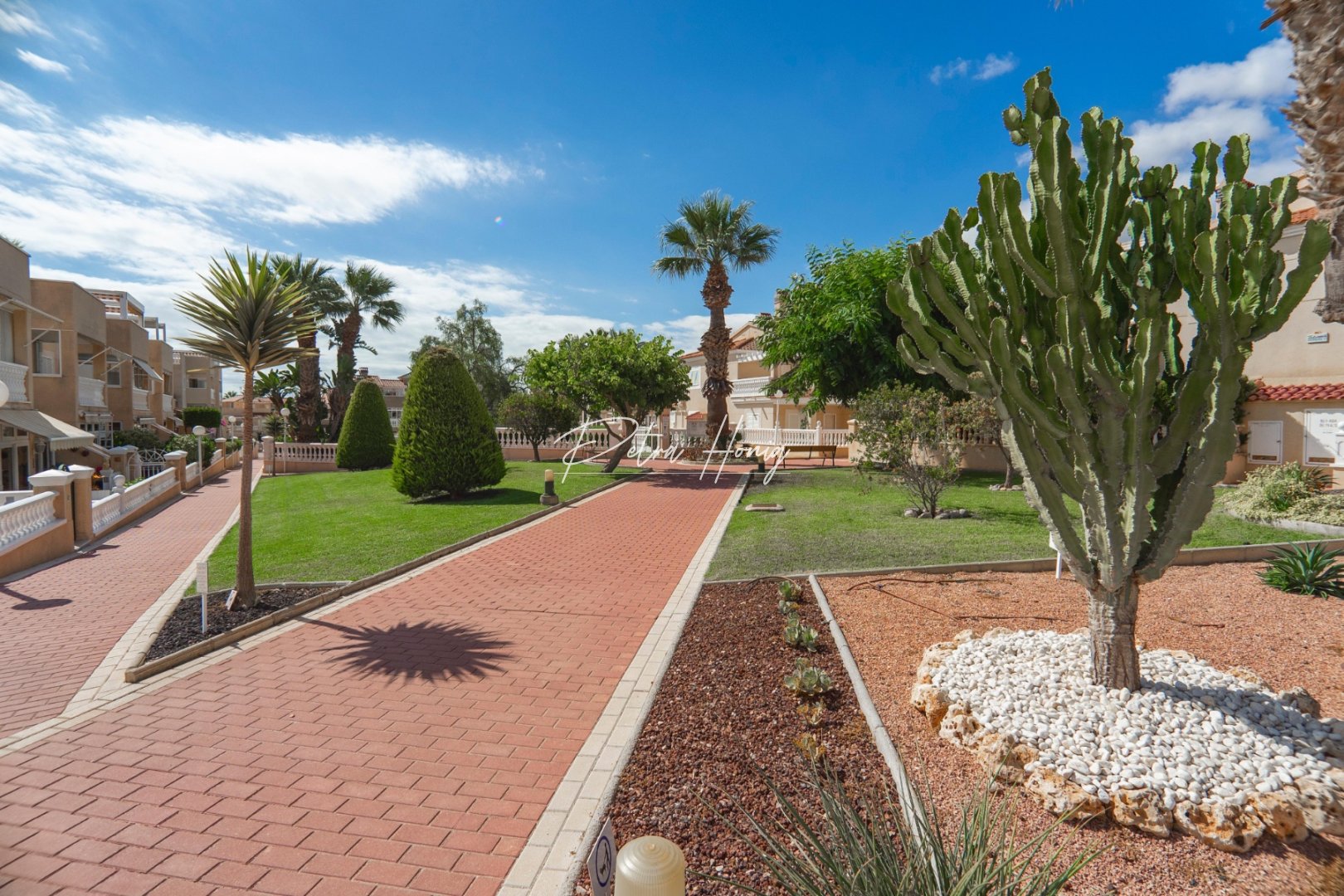 Gebrauchtobjekte - Reihenhaus - Playa Flamenca - Zeniamar