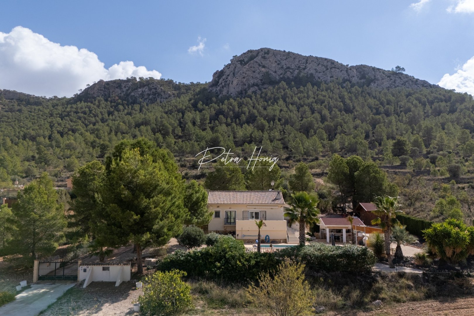 Gebrauchtobjekte - Villa - Detached - Other areas - La Zarza