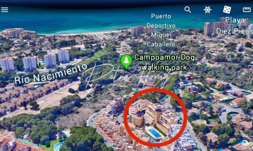 Kommerzielle Immobilie - Gebrauchtobjekte - Dehesa de campoamor - Altos de campoamor