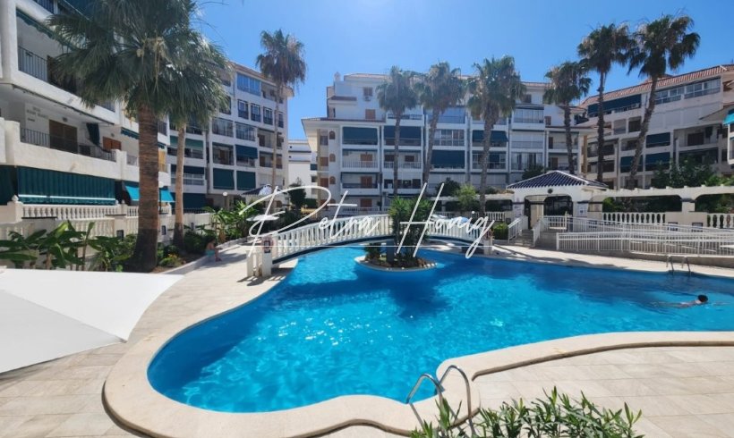 Lägenhet - Resales - La Mata - Los Europeos