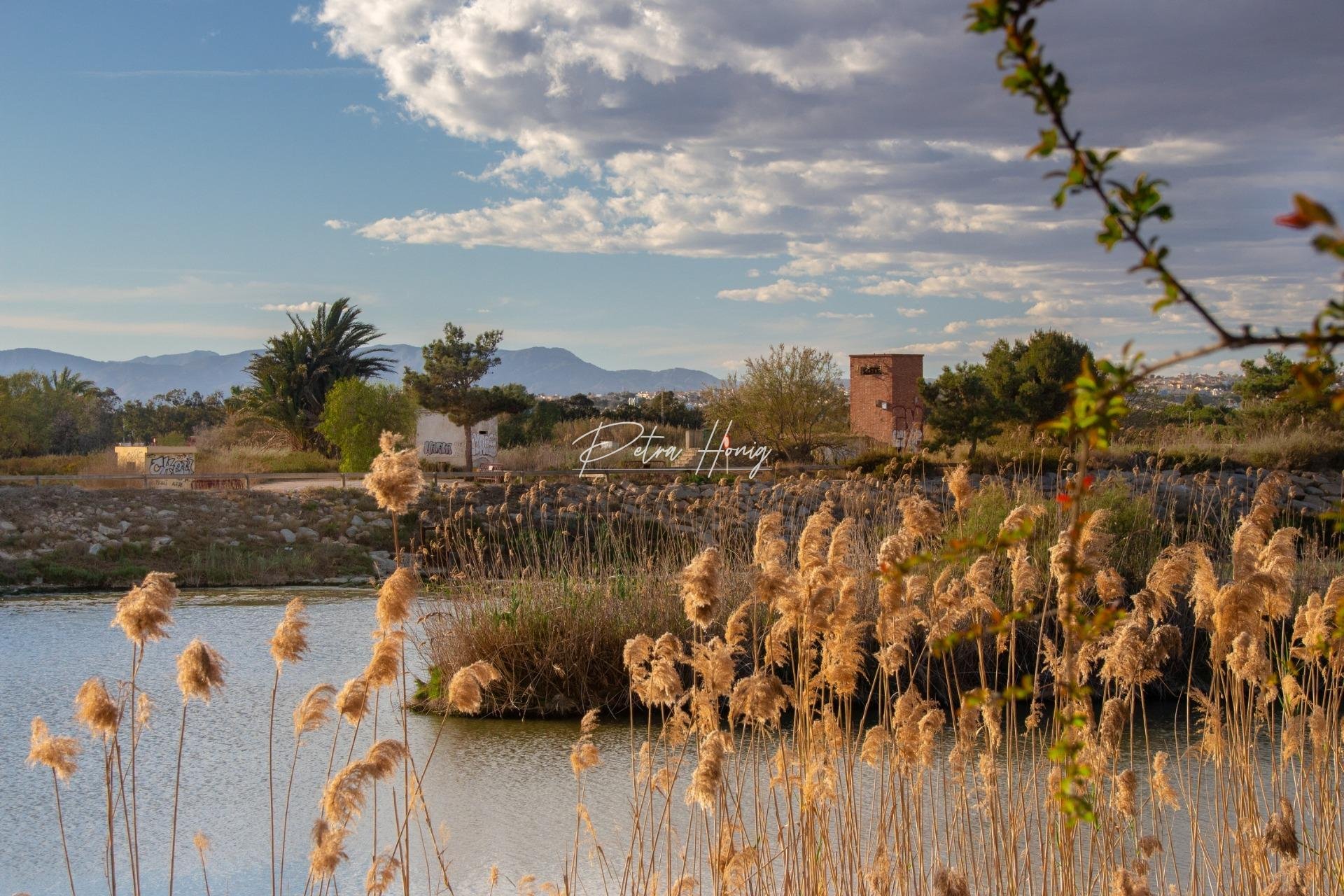 mpya - Bungalow - Guardamar del Segura