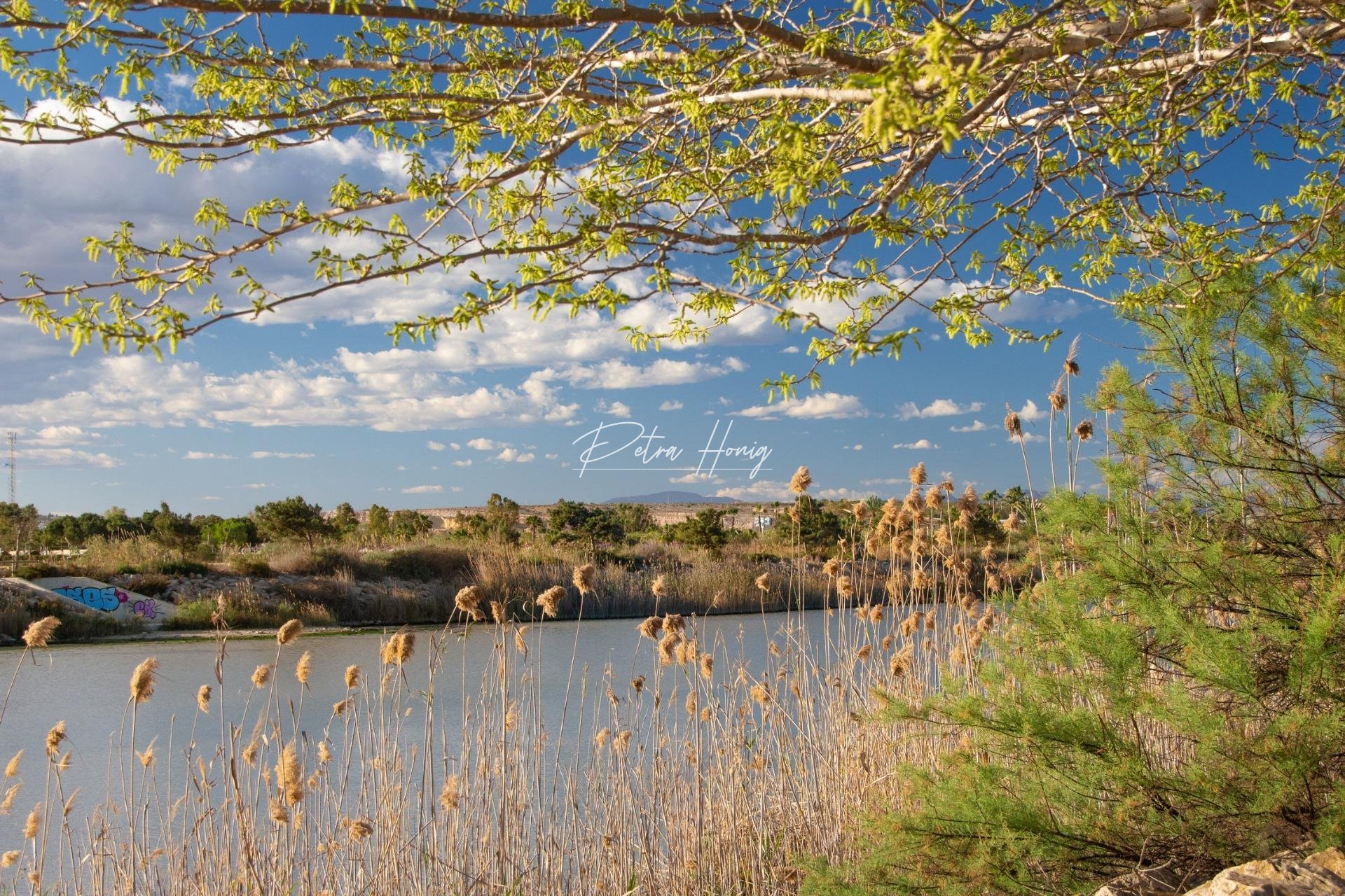 mpya - Bungalow - Guardamar del Segura