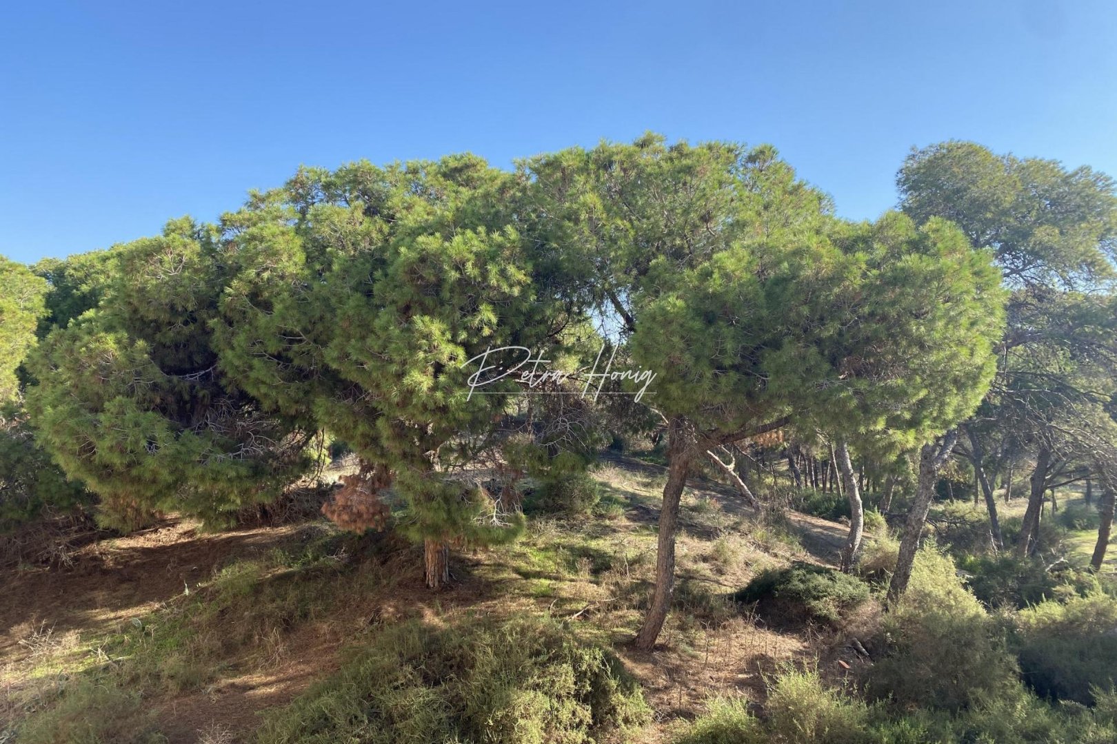 mpya - Lägenhet - Guardamar del Segura - Centro