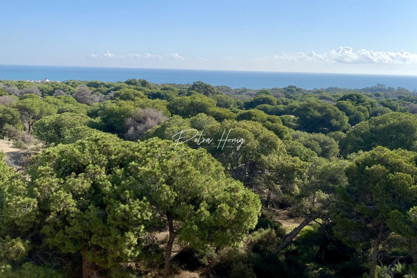 mpya - Lägenhet - Guardamar del Segura - Centro
