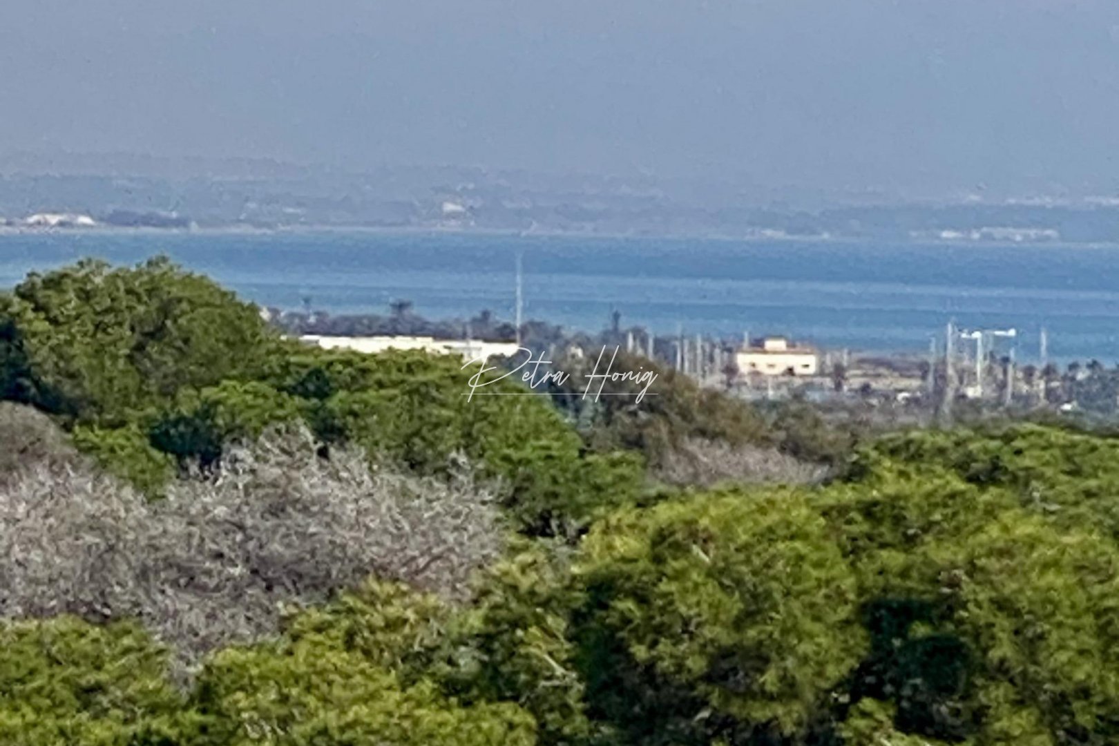 mpya - Lägenhet - Guardamar del Segura - Centro