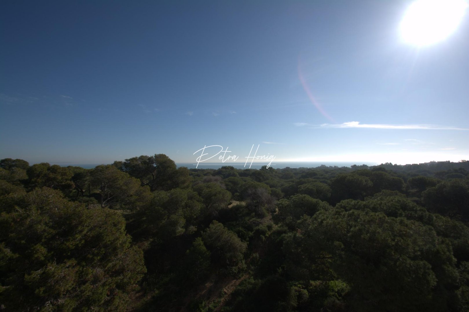 mpya - Lägenhet - Guardamar del Segura - Pueblo
