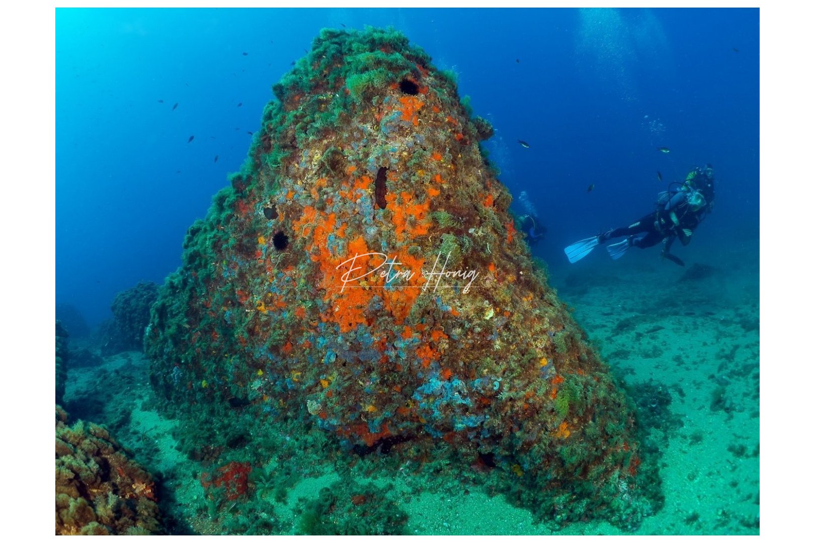 mpya - Lägenhet - Other areas - Isla del fraile