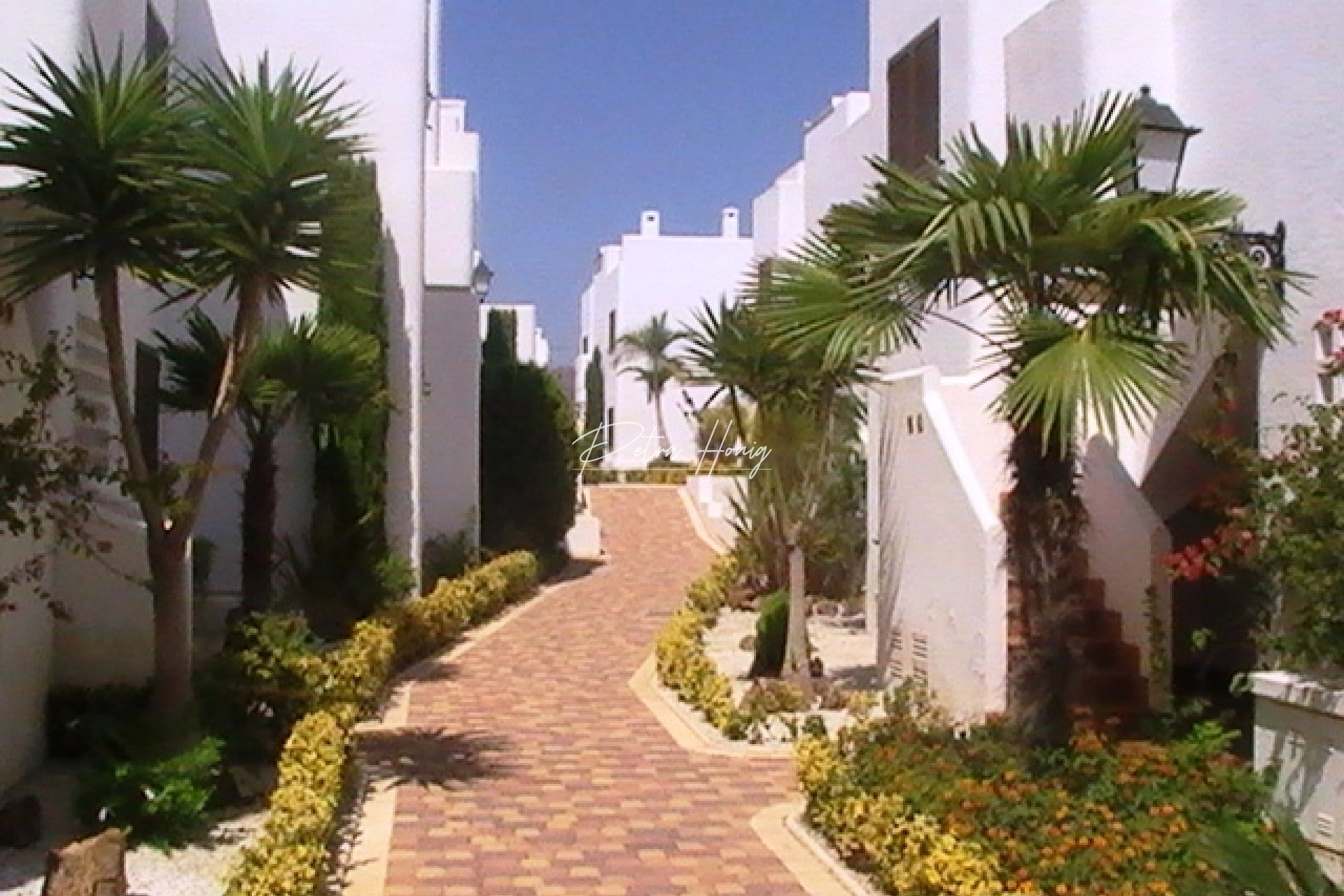 mpya - Lägenhet - Other areas - San Juan de los Terreros