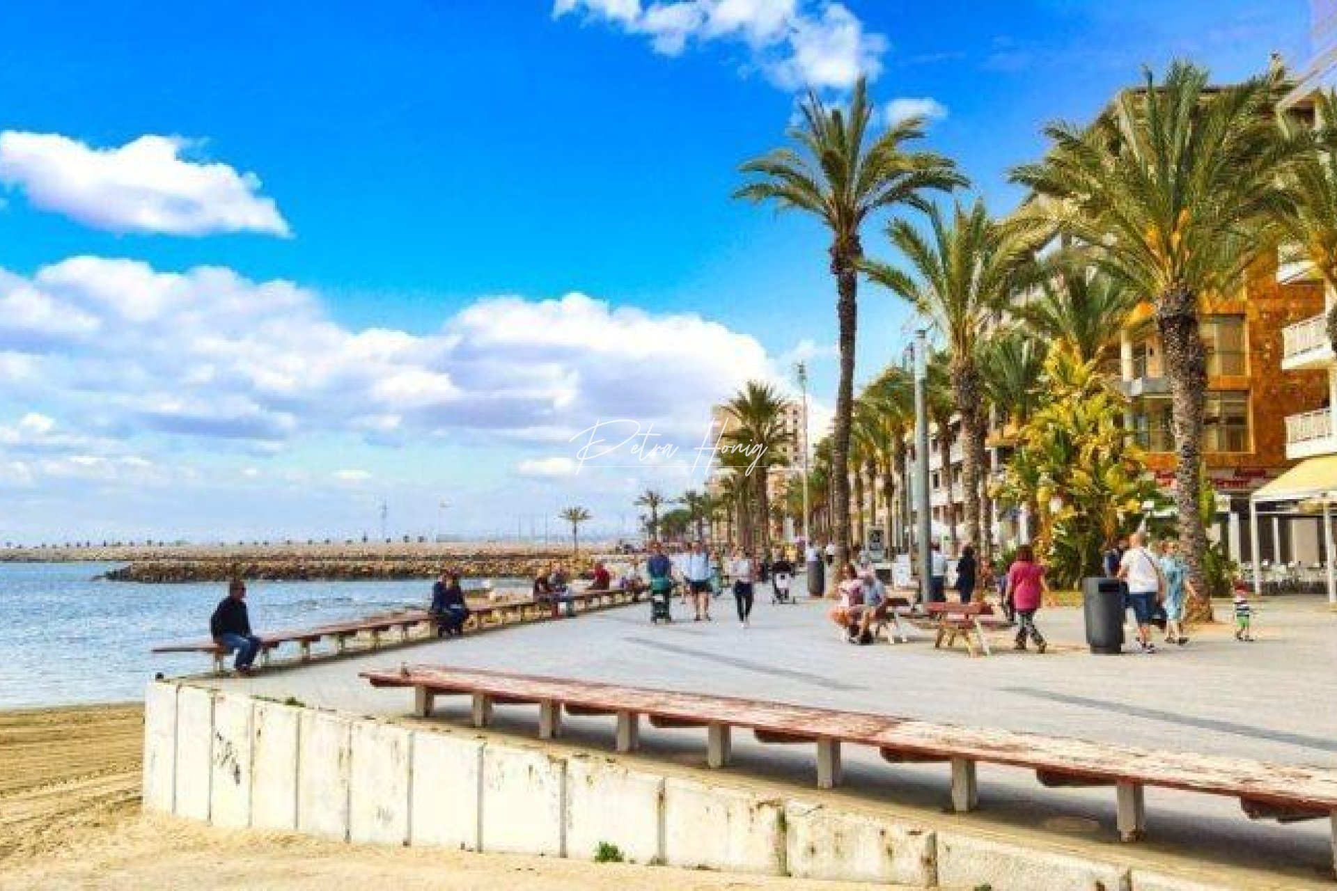 mpya - Lägenhet - Torrevieja - Playa de El Cura