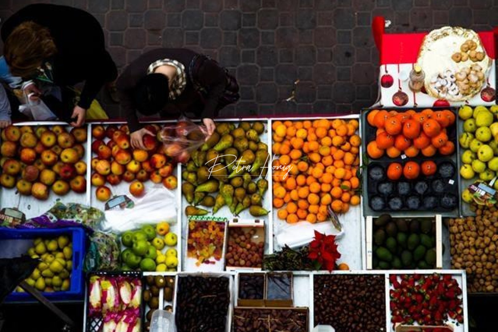 mpya - Rekkehus - Dolores - Sector 2