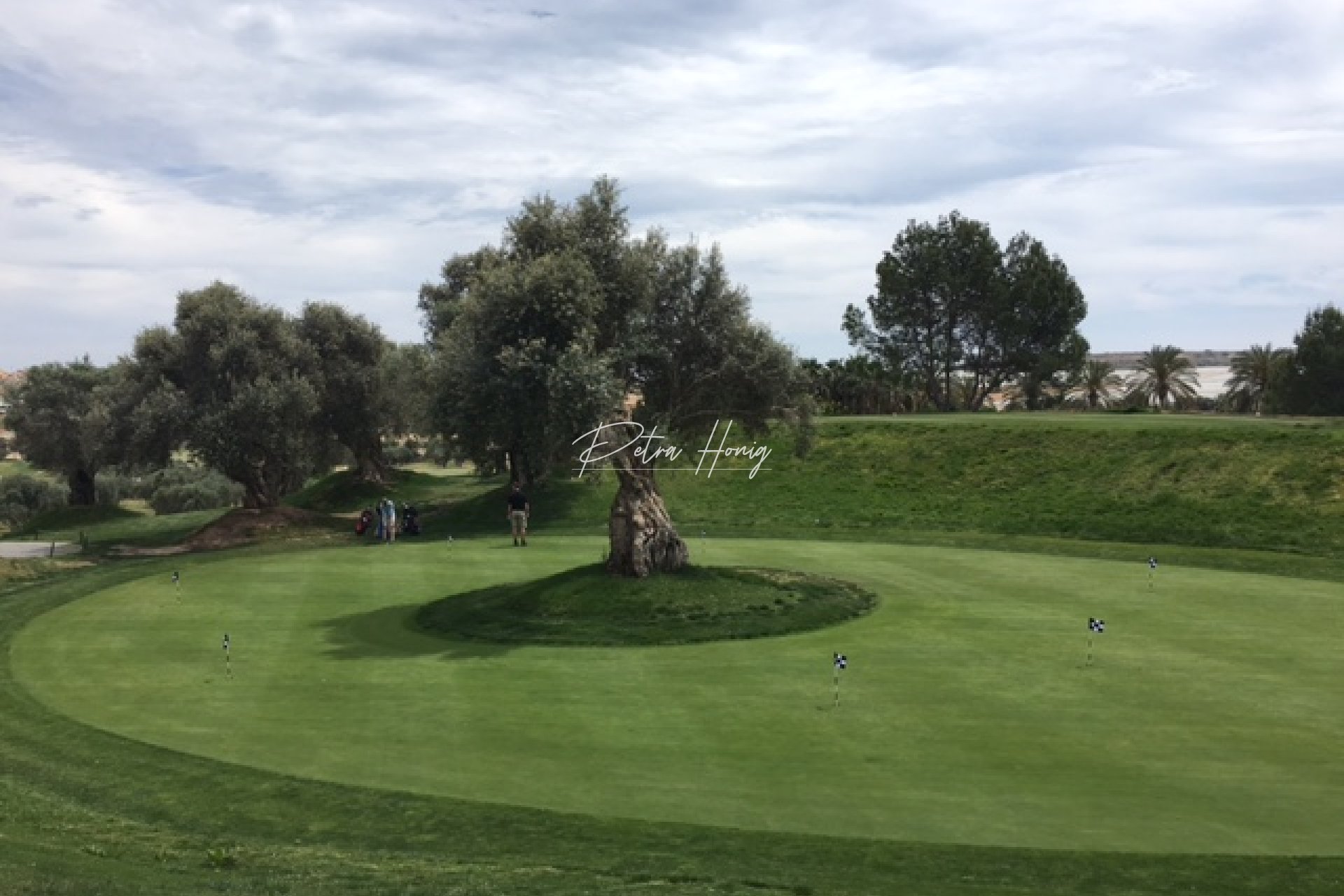 mpya - Villa - Algorfa