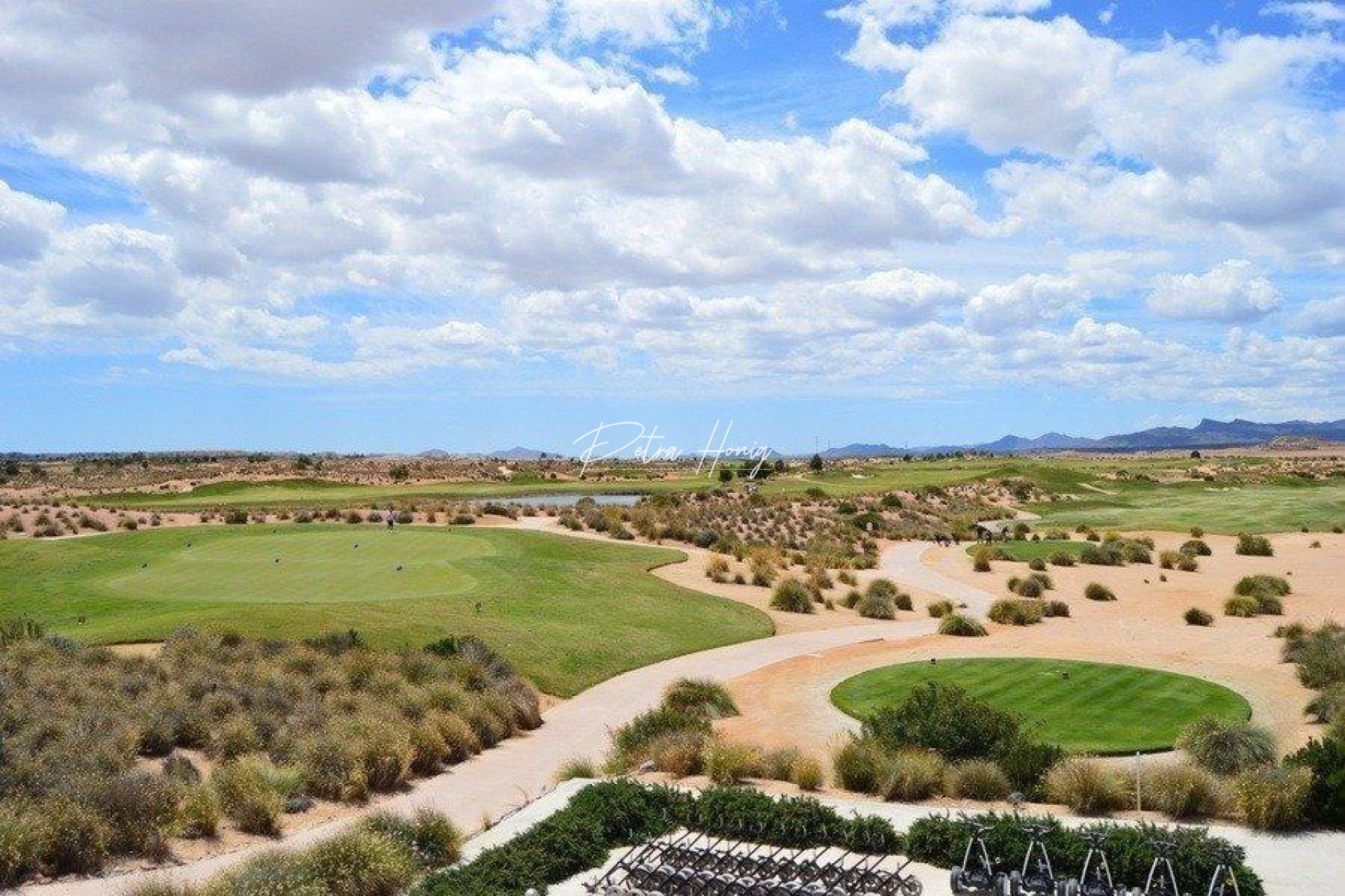 mpya - Villa - Murcia - Condado De Alhama