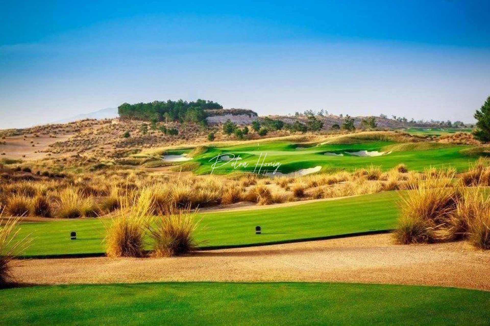 mpya - Villa - Murcia - Condado De Alhama