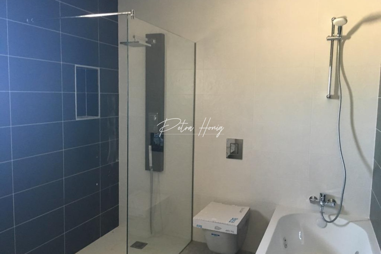 mpya - Villa - Other areas - Camino Del Prado