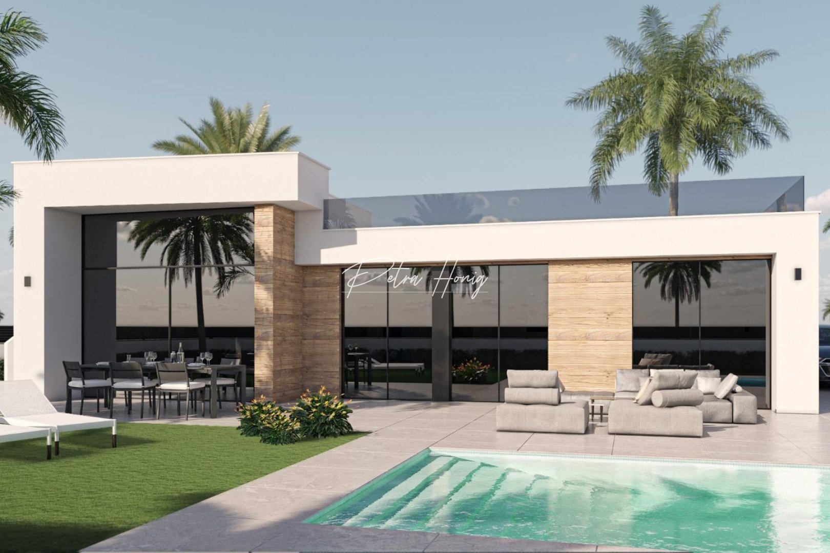 mpya - Villa - Other areas - Condado De Alhama