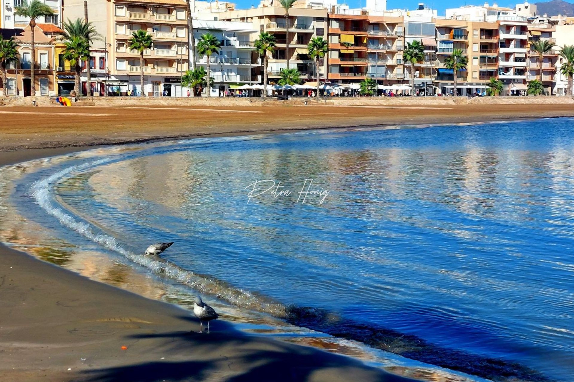 mpya - Villa - Other areas - La Pinilla